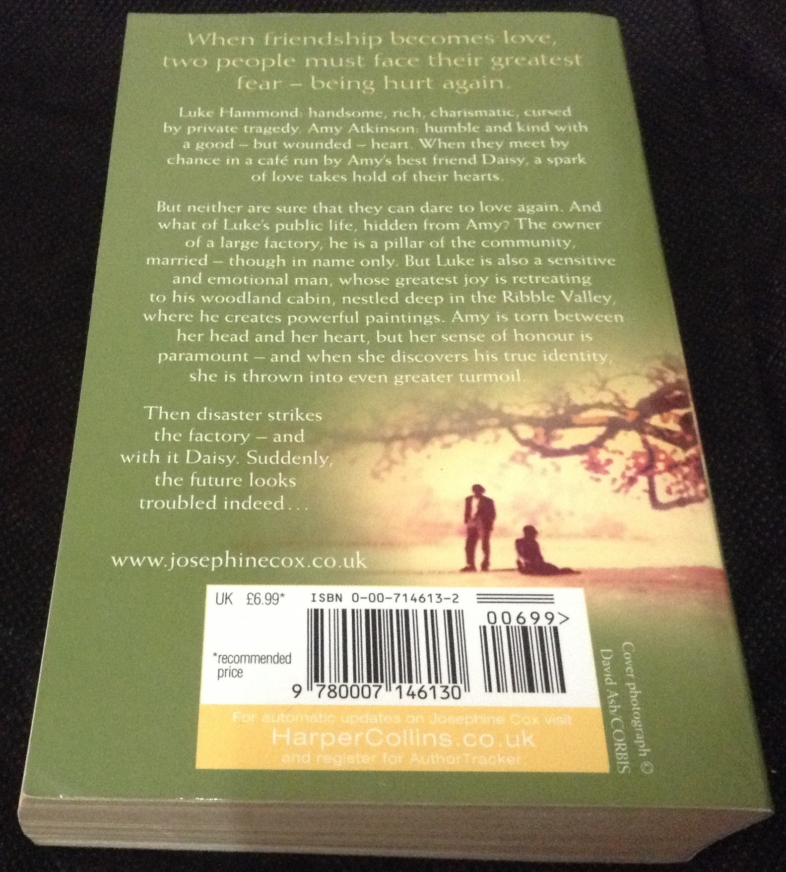 Live The Dream by Josephine Cox ราคา 150