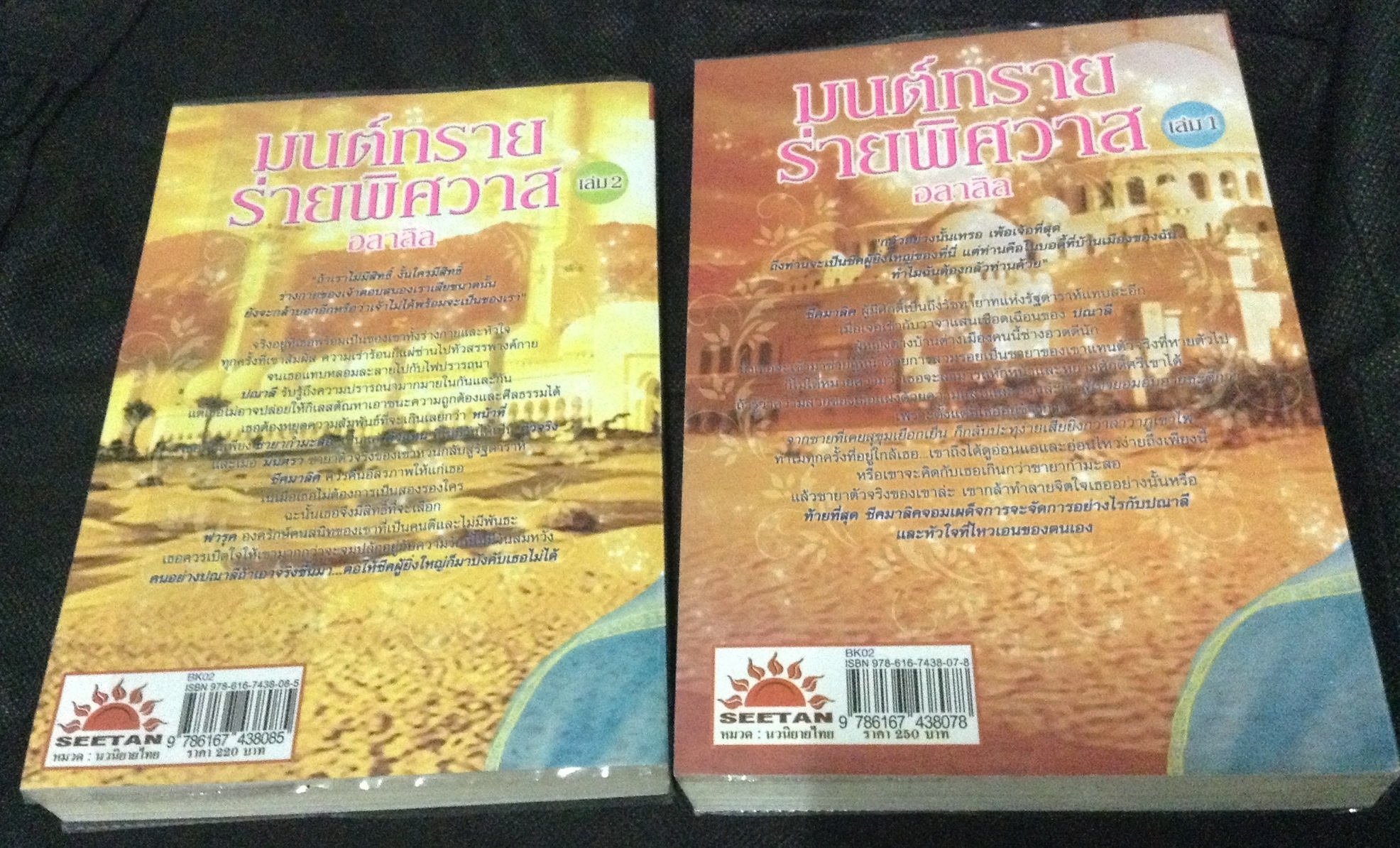 (สั่ง9จ่าย7) มนต์ทรายร่ายพิศวาส อลาลิล 2เล่มจบ ราคา 329