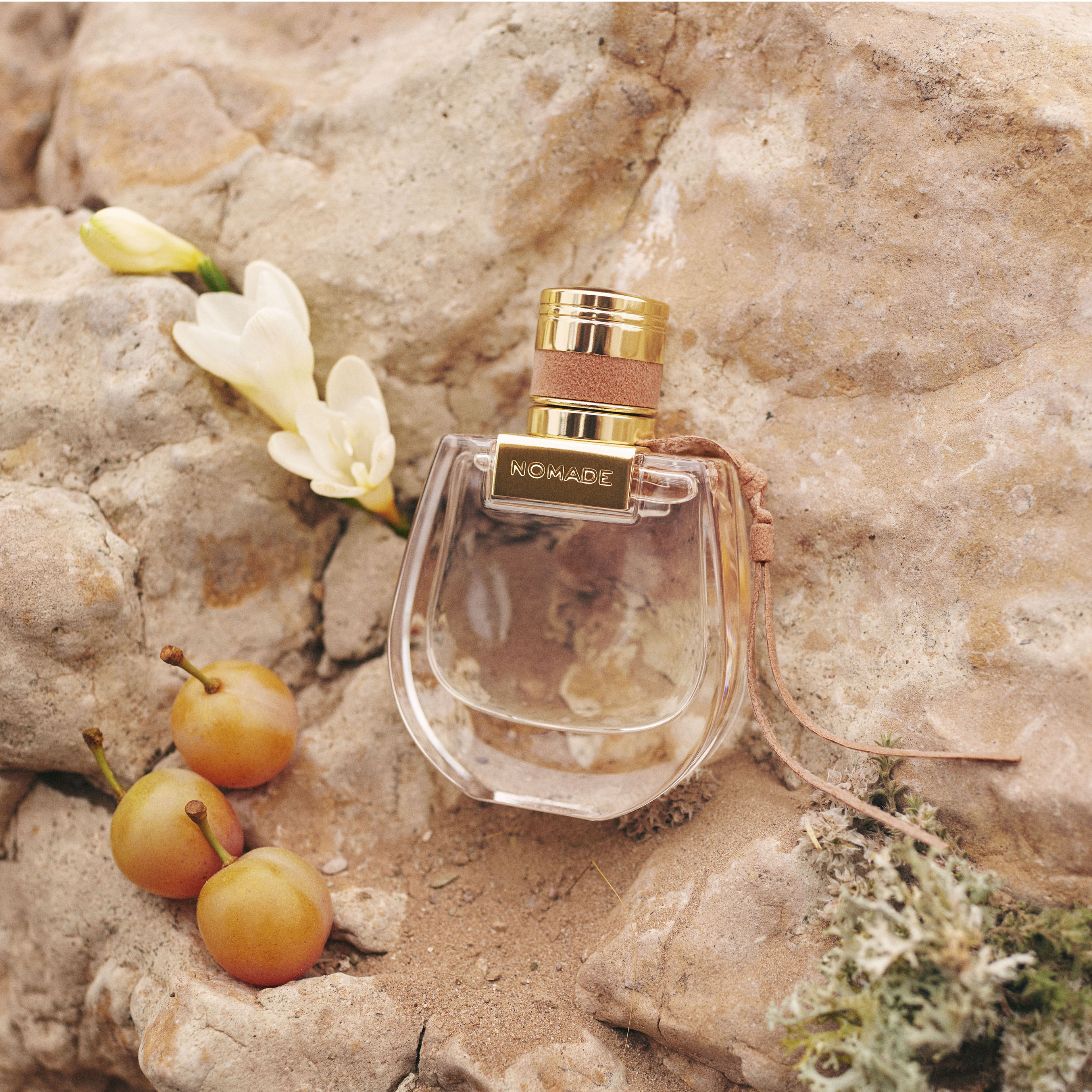 น้ำหอมโคลเอ้ CHLOE NOMADE ABSOLU DE PAFUM 75ml