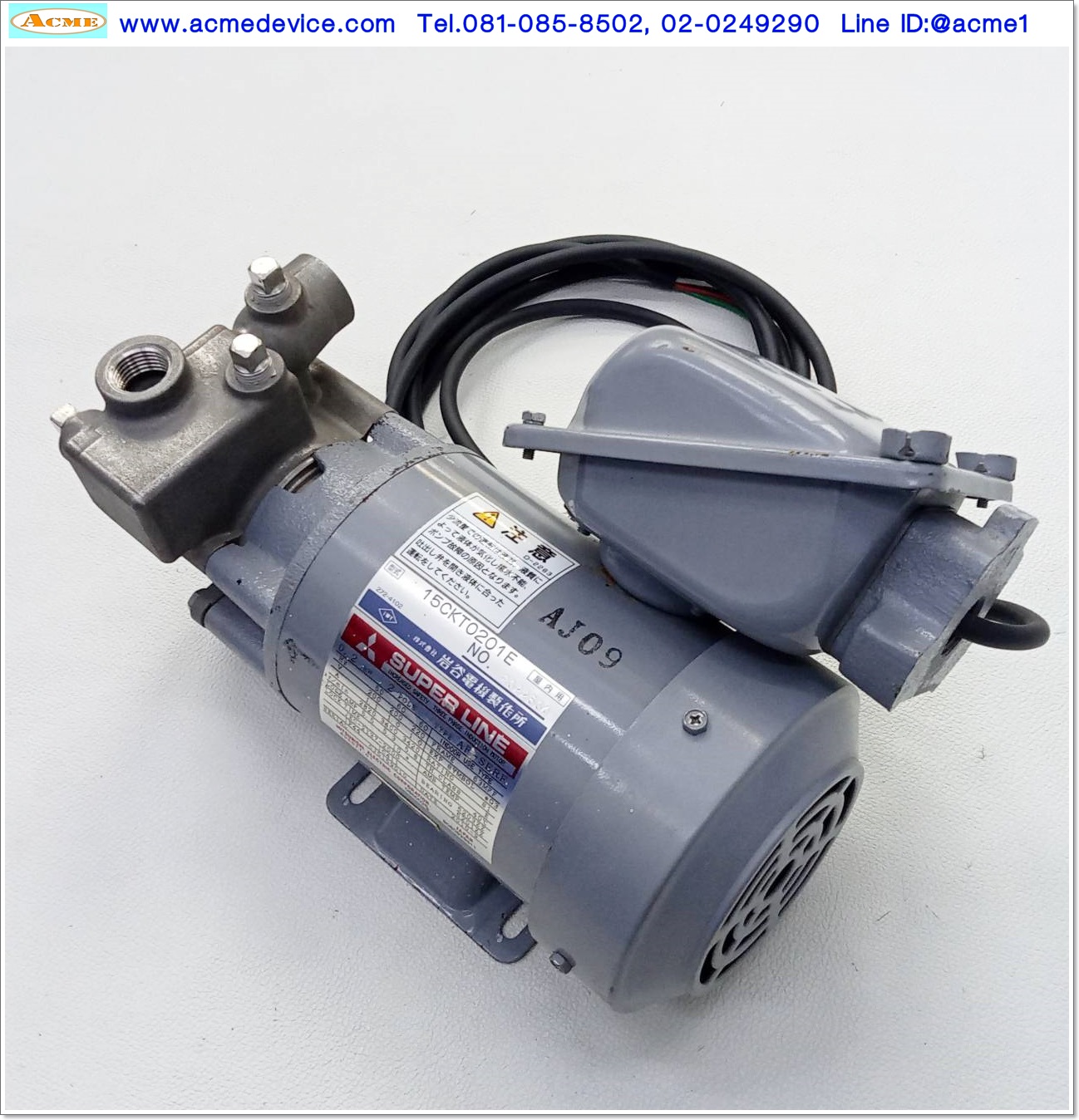 Pump IWAYA รุ่น 15CKT0201E, H 11m, Q 8.5L/min, Stainless Pump, Explosion Proof Motor, 3phase 220V, 0.2kW