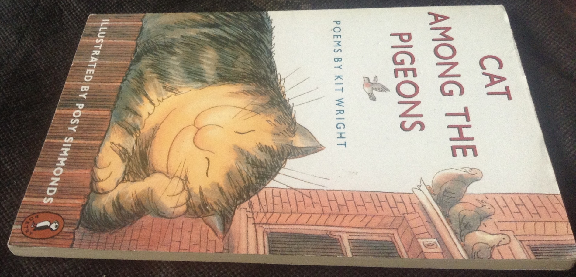 Cat Among the Pigeons: Poems by Kit Wright ราคา 60