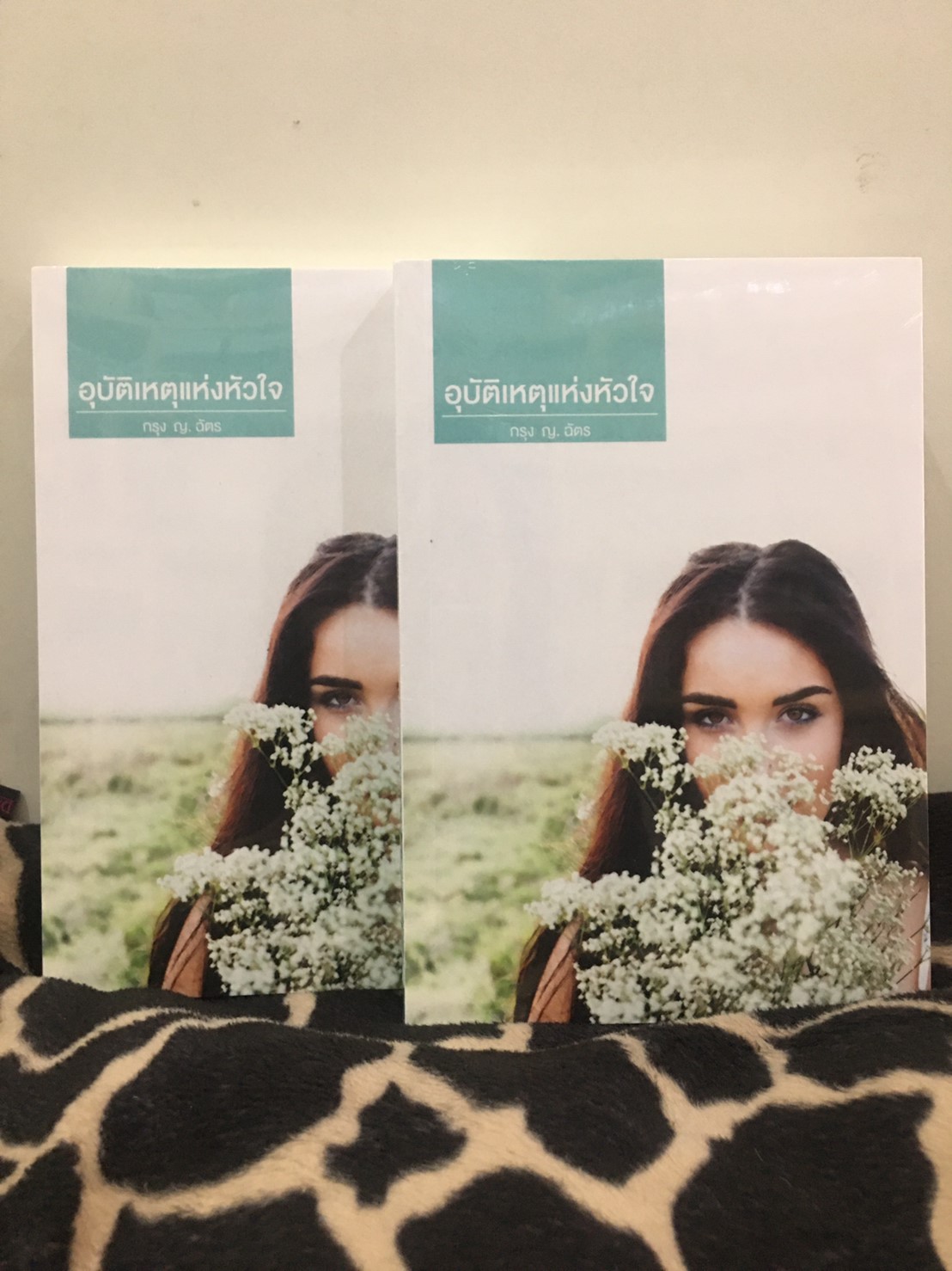 นิยายเรื่องอุบัติเหตุแห่งหัวใจ : กรุง ญ ฉัตร : สำนักพิมพ์ แสงดาว