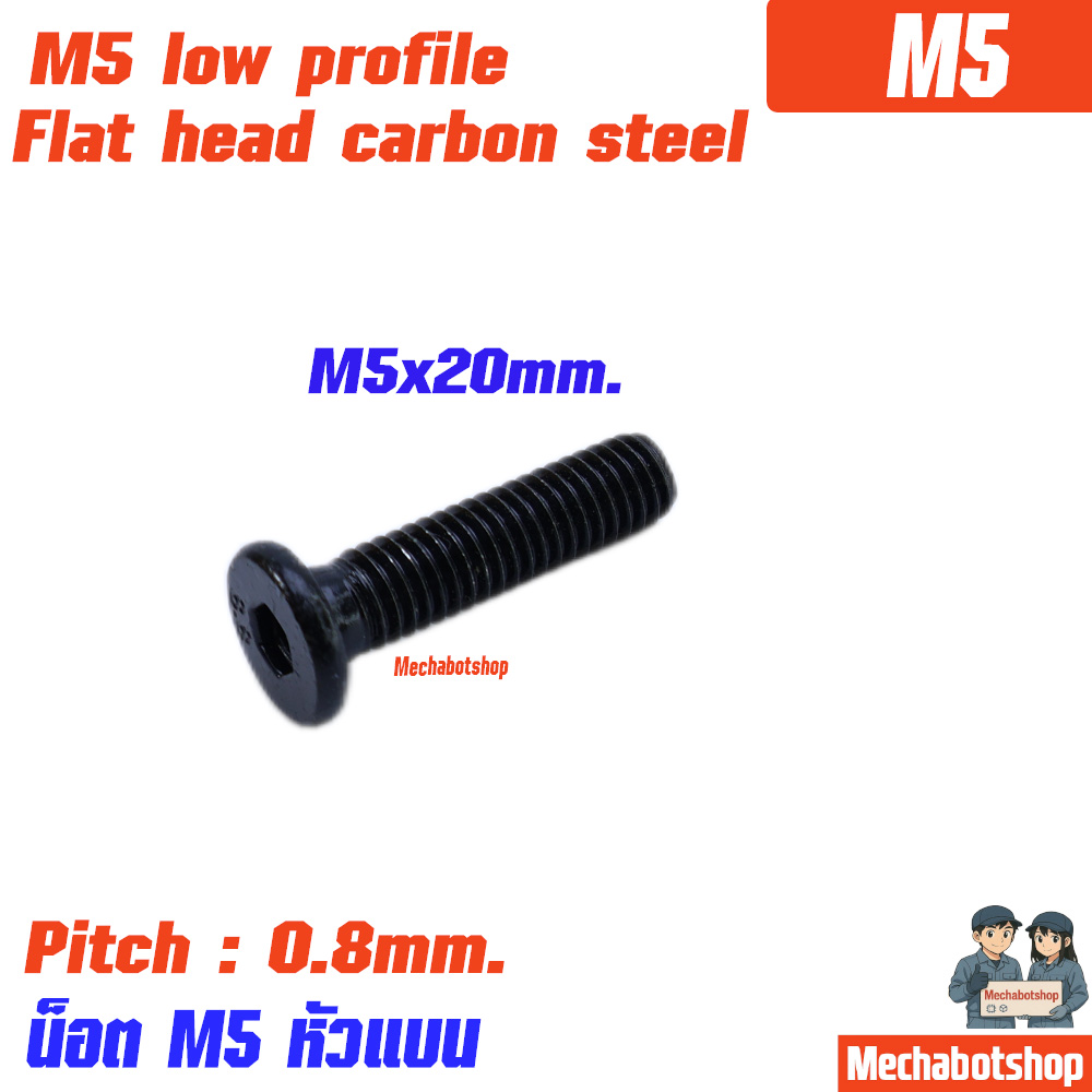 M5x20mm. Low Profile Screws