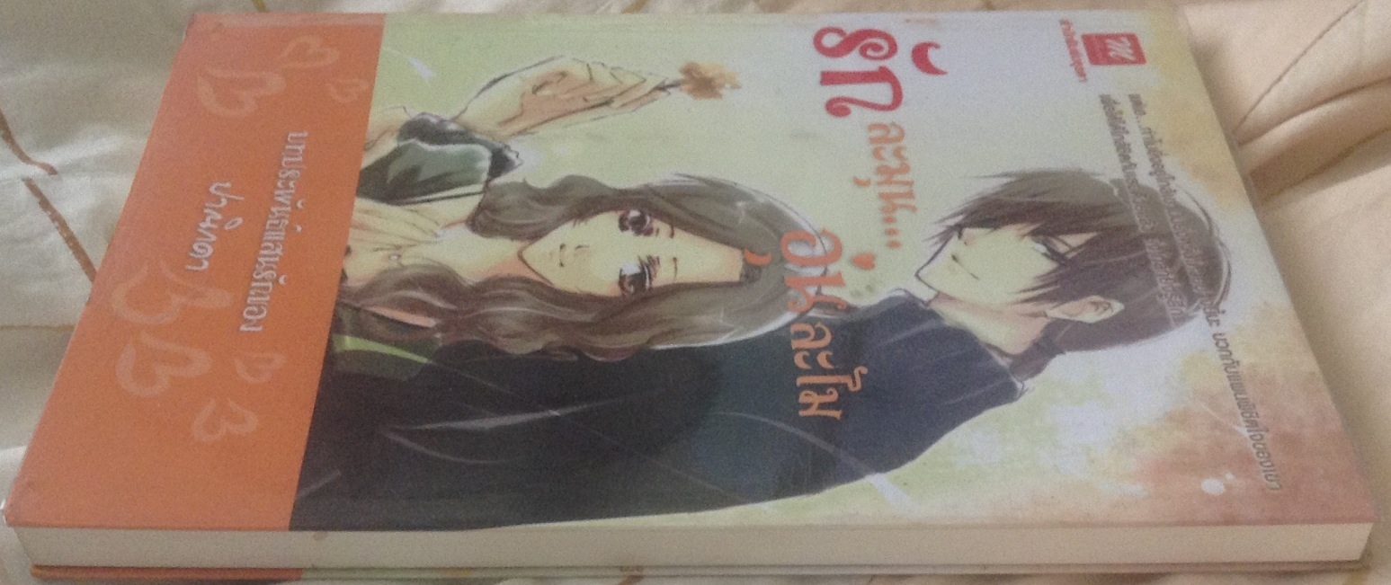 (สั่ง9จ่าย7) รักละมุนอุ่นละไม ปาณิกดา ราคา 70