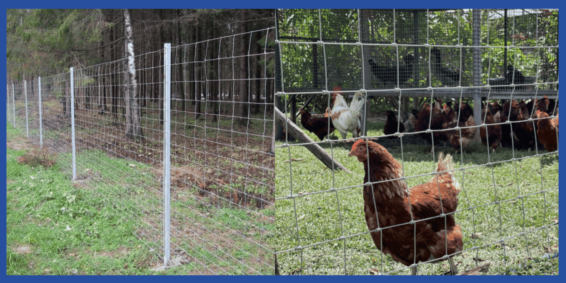 ตาข่ายแรงดึง รั้วตาข่ายแรงดึง  ตาข่ายแรงดึง รั้วตาข่ายแรงดึง