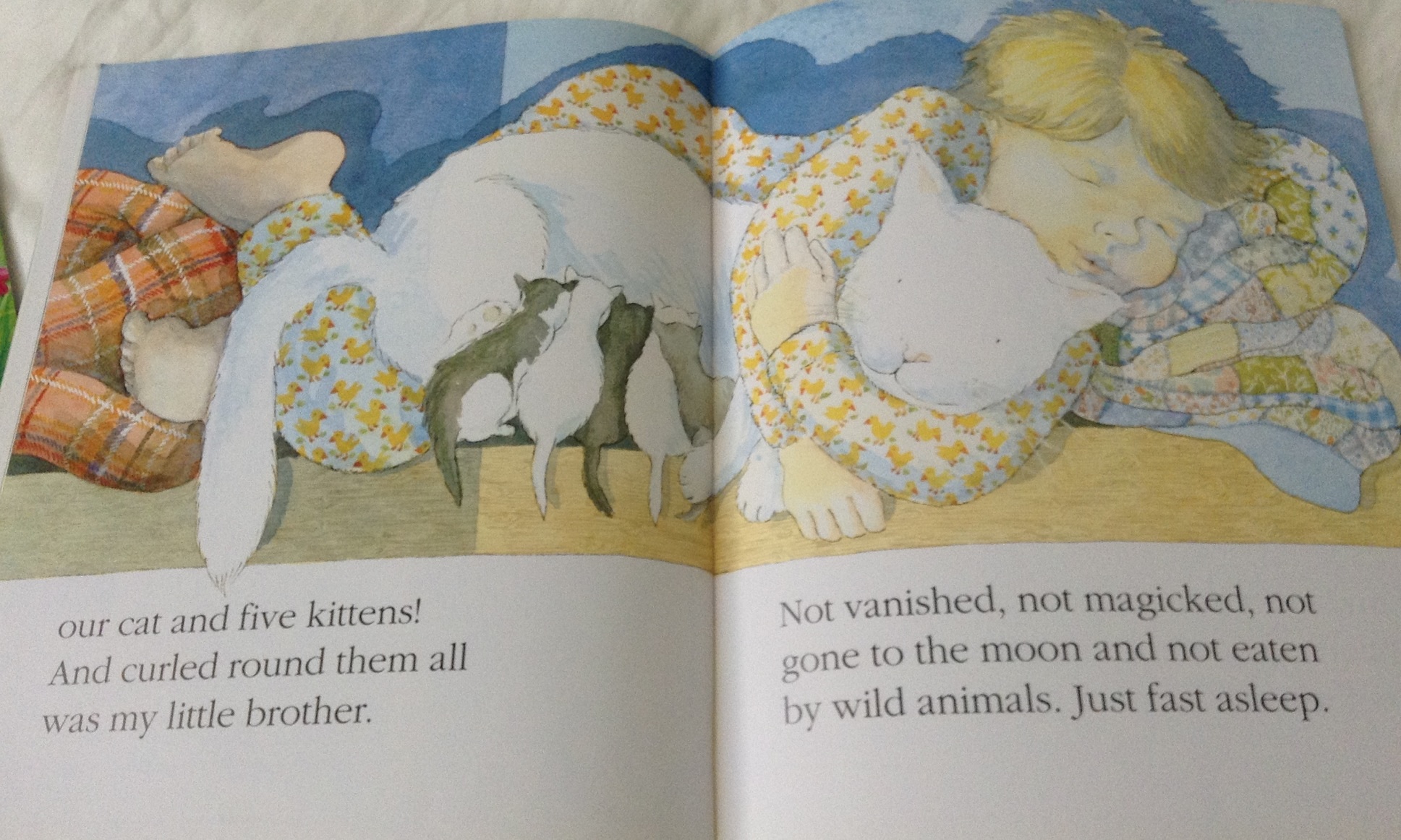 (4แถม4) My Little Brother by Debi Gliori ราคา 95