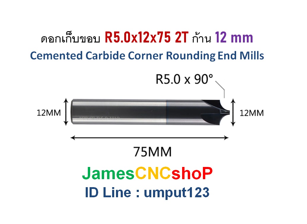 ดอกเก็บขอบ R5.0x12x100 2T ก้าน 12 mm Cemented Carbide Corner Rounding End Mills