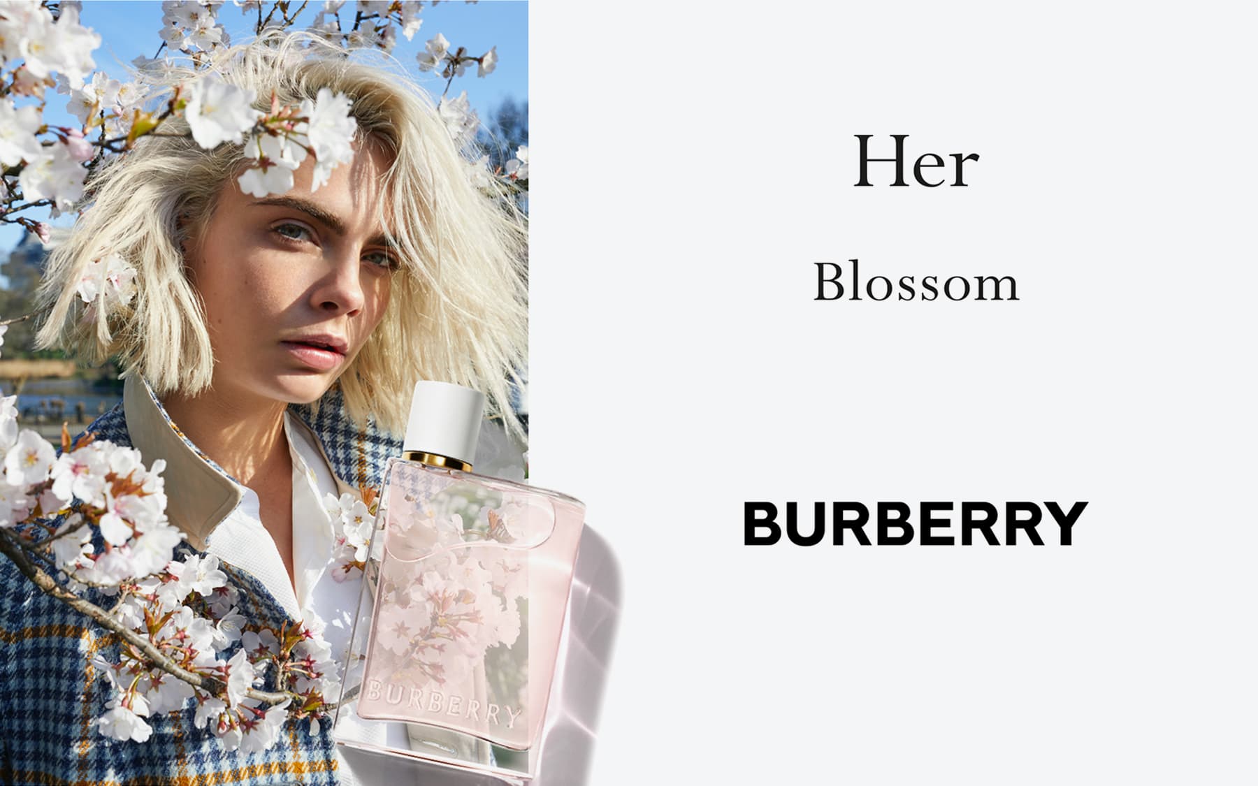 น้ำหอมเบอเบอรี่ BURBERRY Her Blossom EDT 100ml
