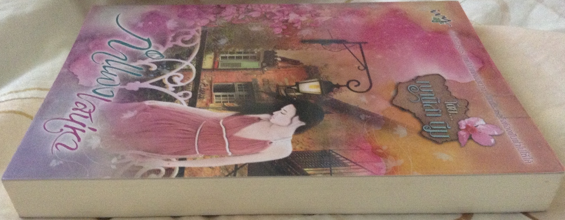 (สั่ง9จ่าย7) กำแพงเสน่หา ญานิสา บีม ราคา 135