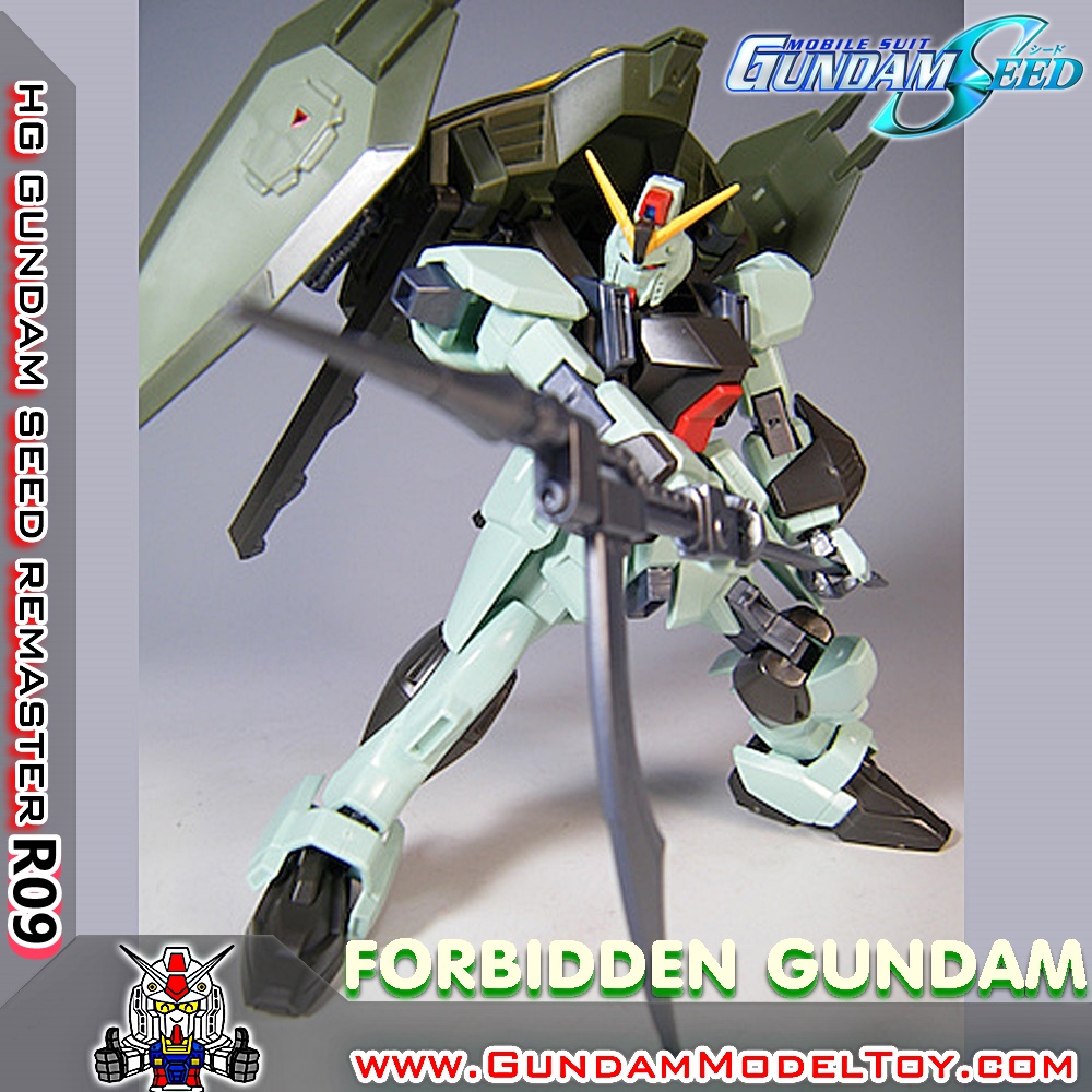 HGSEED 1/144 R09 FORBIDDEN GUNDAM ฟอร์บิดเดน กันดั้ม