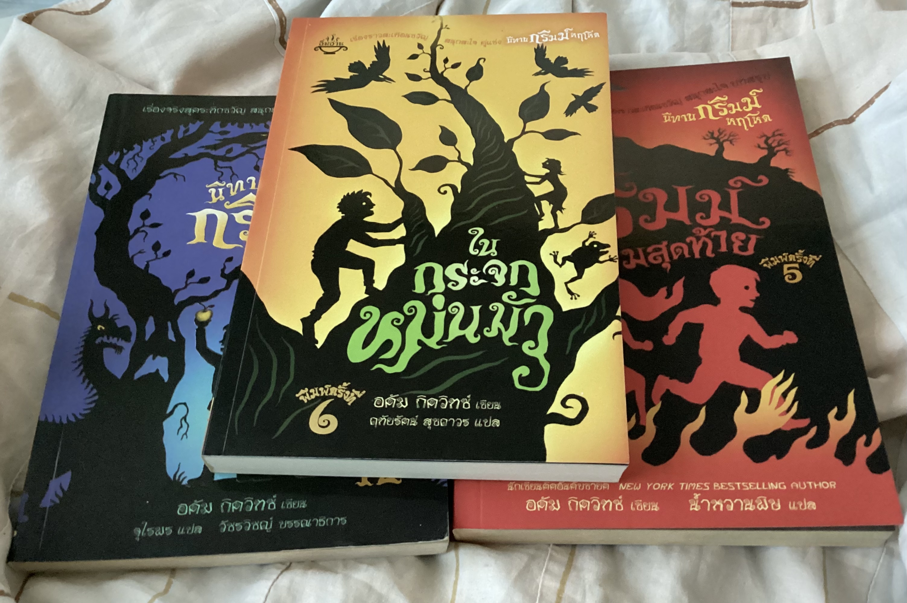 (สั่ง8จ่าย7) ชุดนิทานกริมม์ นิทานกริมม์หฤโหด ในกระจกหม่นมัว นิทานกริมม์เล่มสุดท้าย ราคา 392