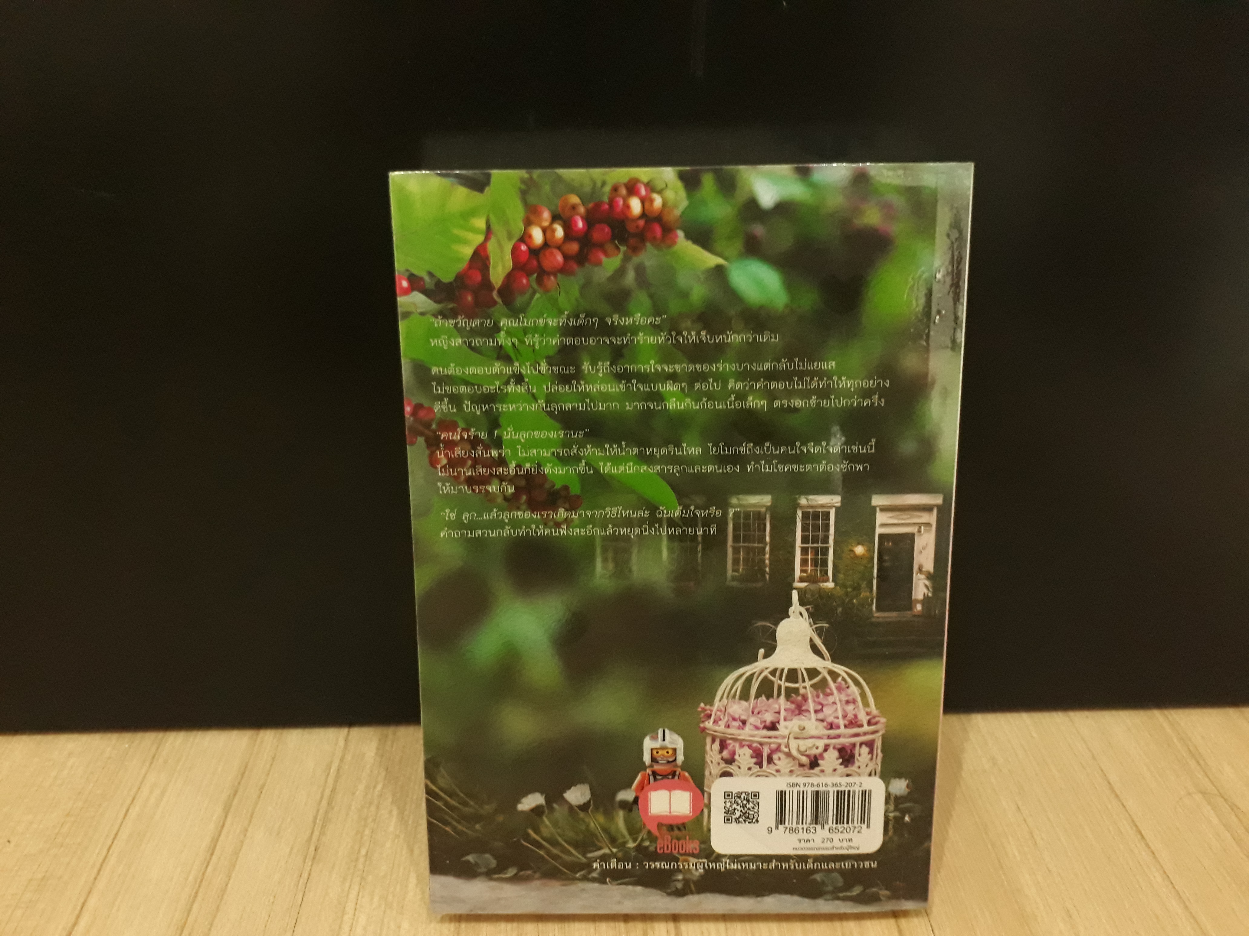 นิยายสภาพเช่า เรื่อง ภรรยาสำรอง : เกี้ยวเกล้า : TOUCH