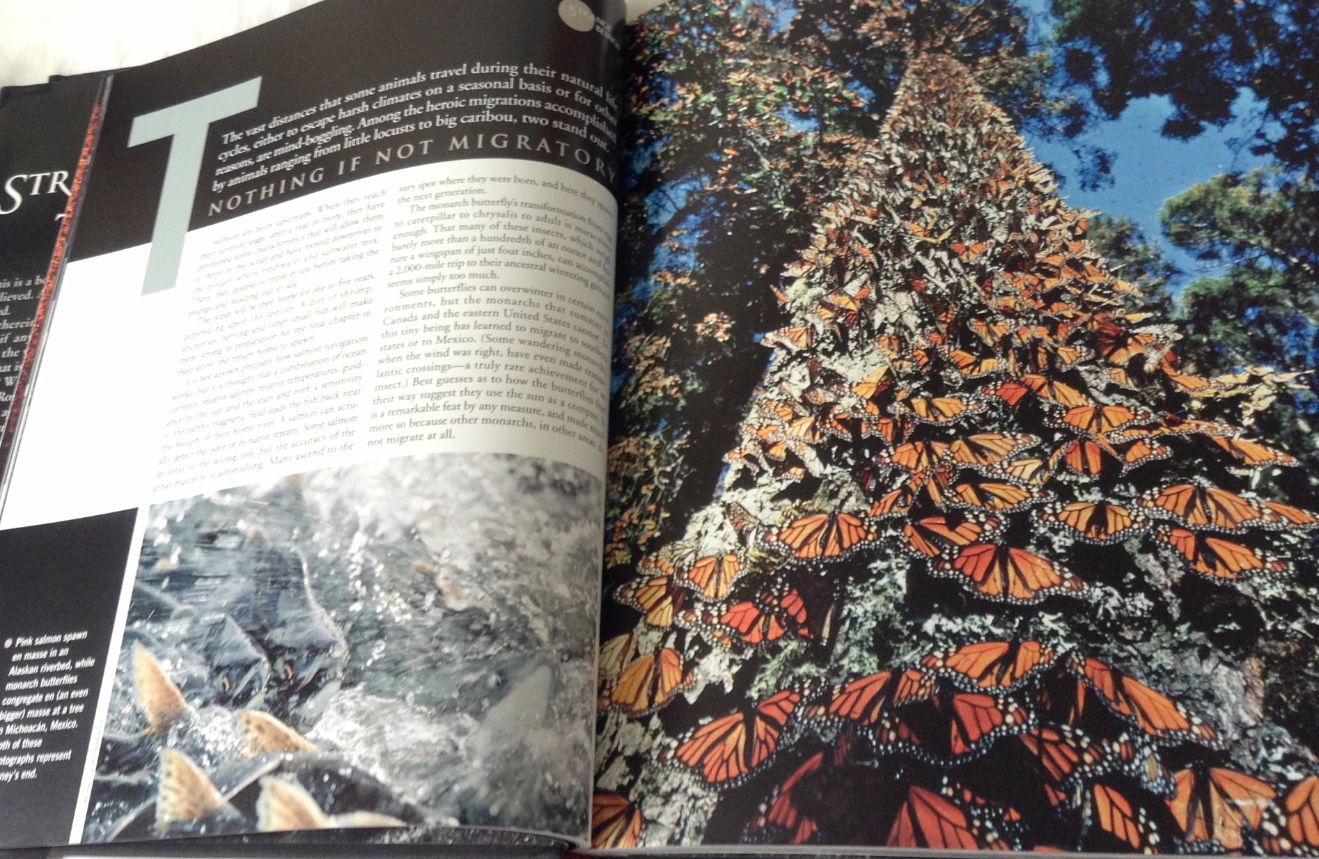 Life: Strange But True: 100 of the World's Weirdest Wonders (Plus: Famous Hoaxes Revealed) ราคา 150