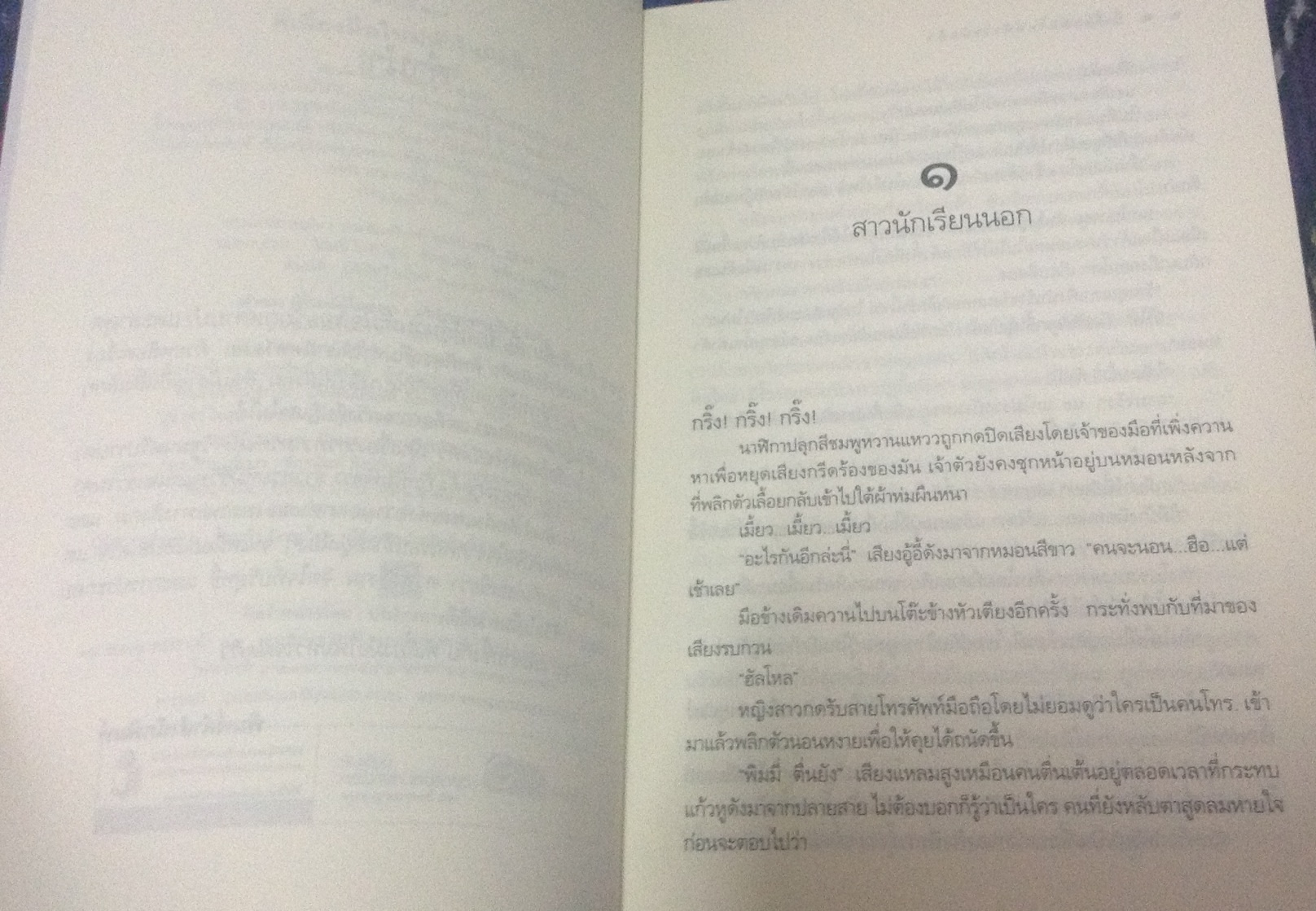 (สั่ง9จ่าย7) พี่เลี้ยงมือใหม่ หัวใจผิดคิว พิมพิสุธญ์ ราคา 125