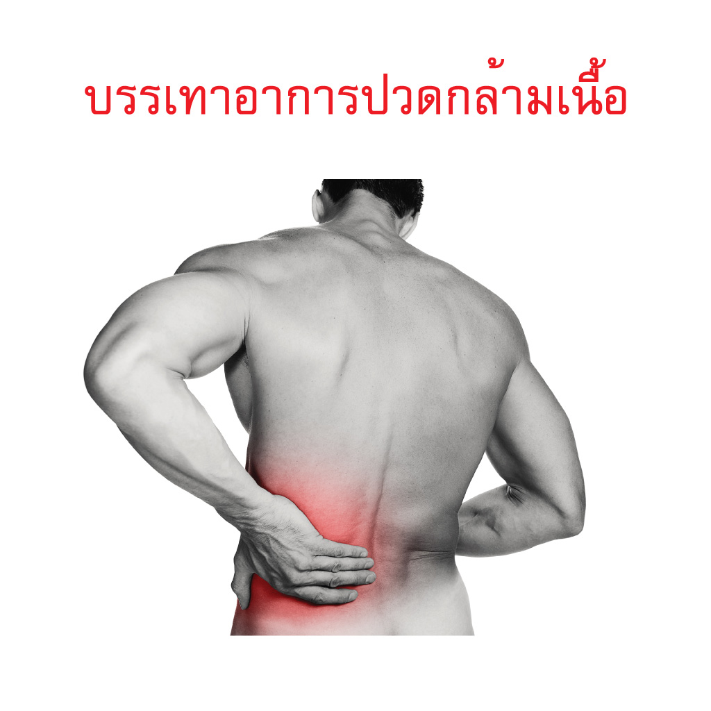 น้ำมันนวด (แก้ปวดเมื่อย) ปวดหลัง ปวดคอ Aromatherapy Massage Oil ชมภิญญ์ 10 ml.