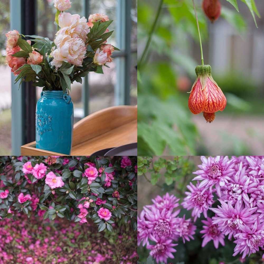 เลนส์ฟิก Yongnuo YN 50mm f1.8 for Canon EF ราคาถูก (ถ่ายหน้าชัดหลังเบลอ)