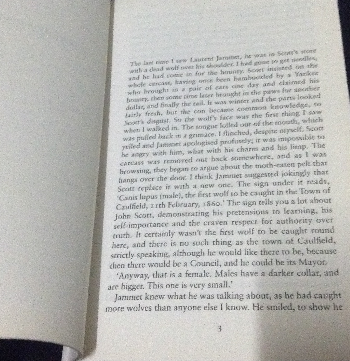 The Tenderness of Wolves Stef Penney ราคา 150