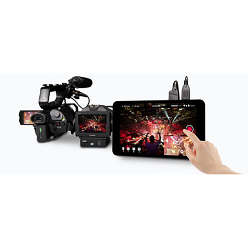 Yolo Box Live Stream