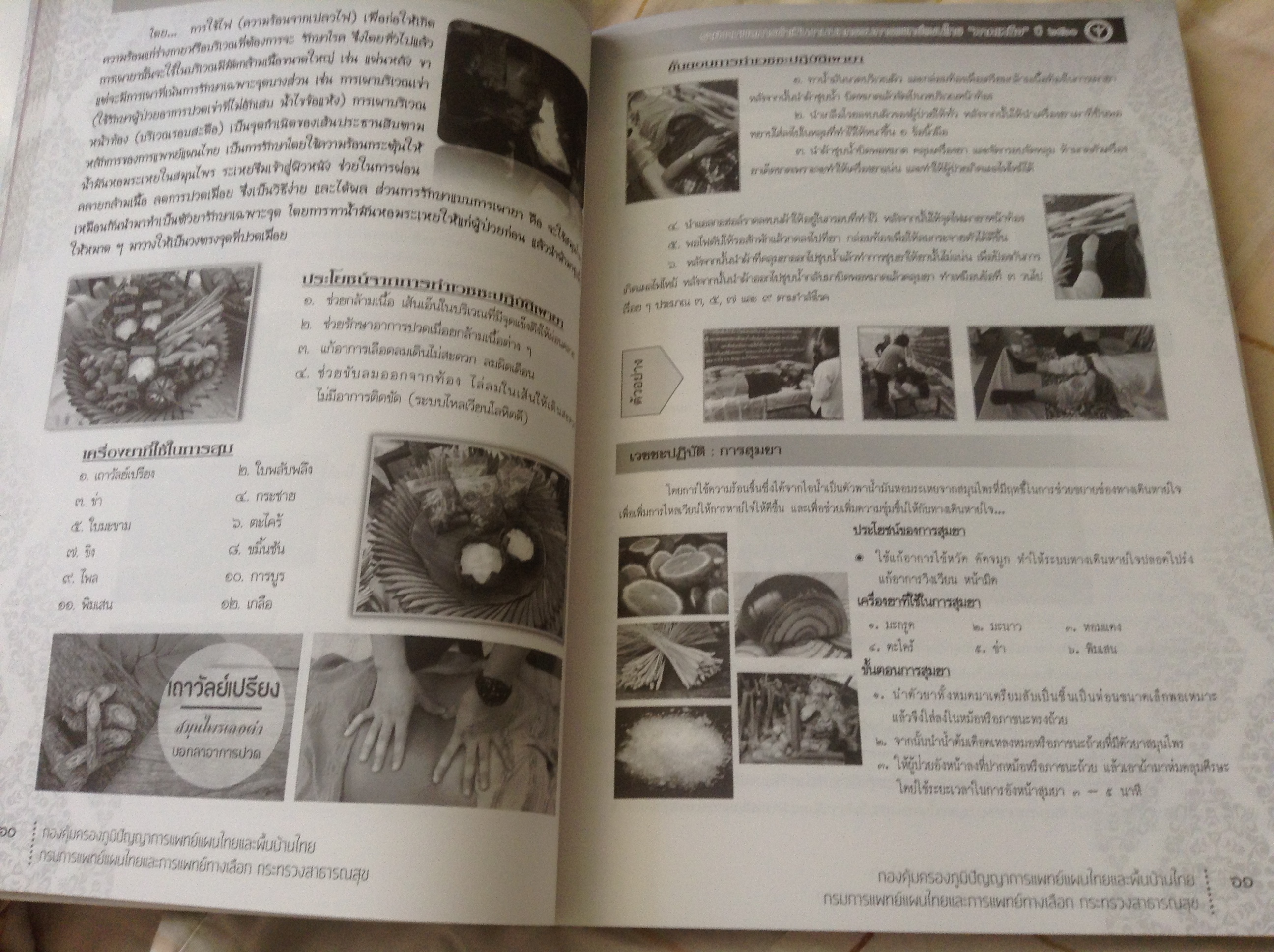 รายงานผลการดำเนินงาน มหกรรมการแพทย์แผนไทย ระดับภาค ประจำปี ๒๕๖๐ ราคา 250