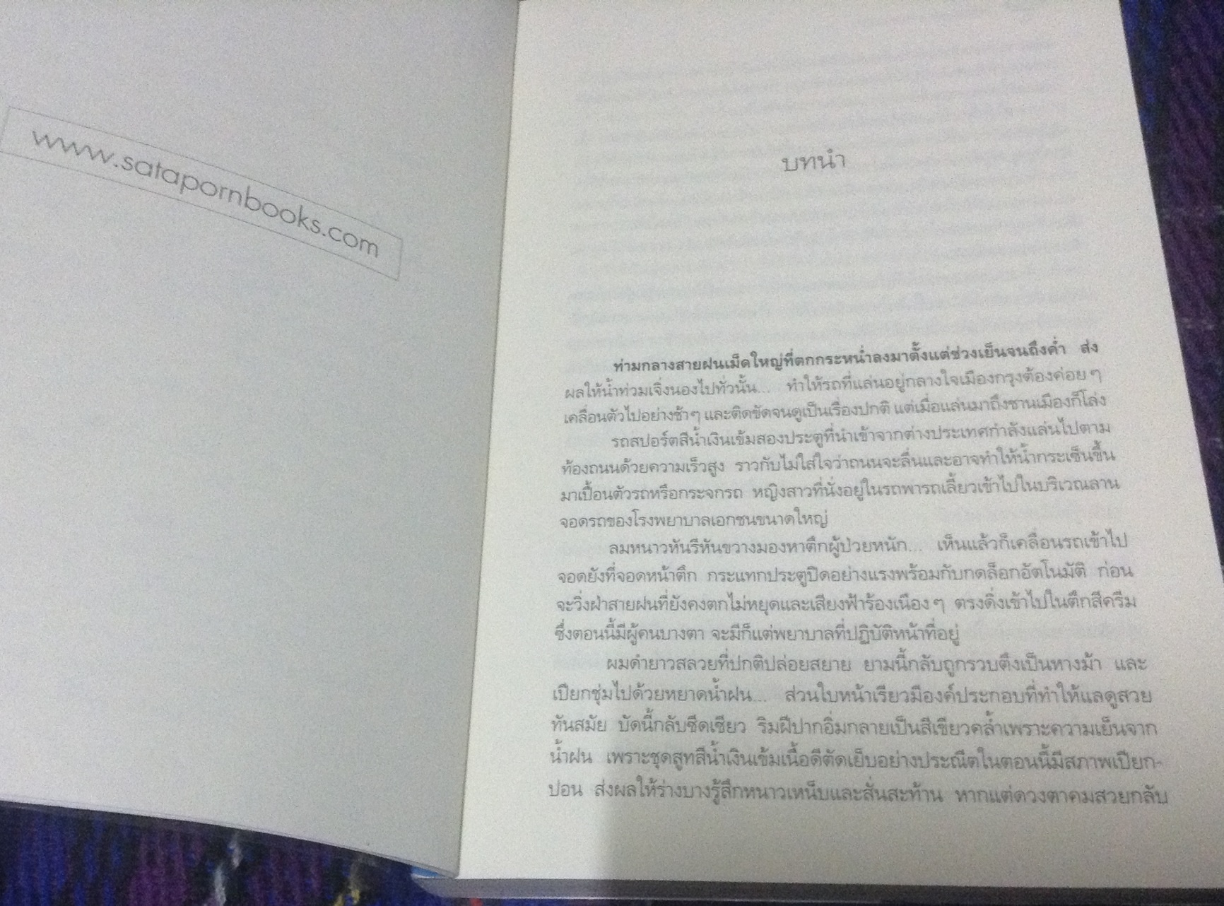 (สั่ง9จ่าย7) the truth about love พยับเมฆ ลายหมอก ลานไพลิน ราคา 90