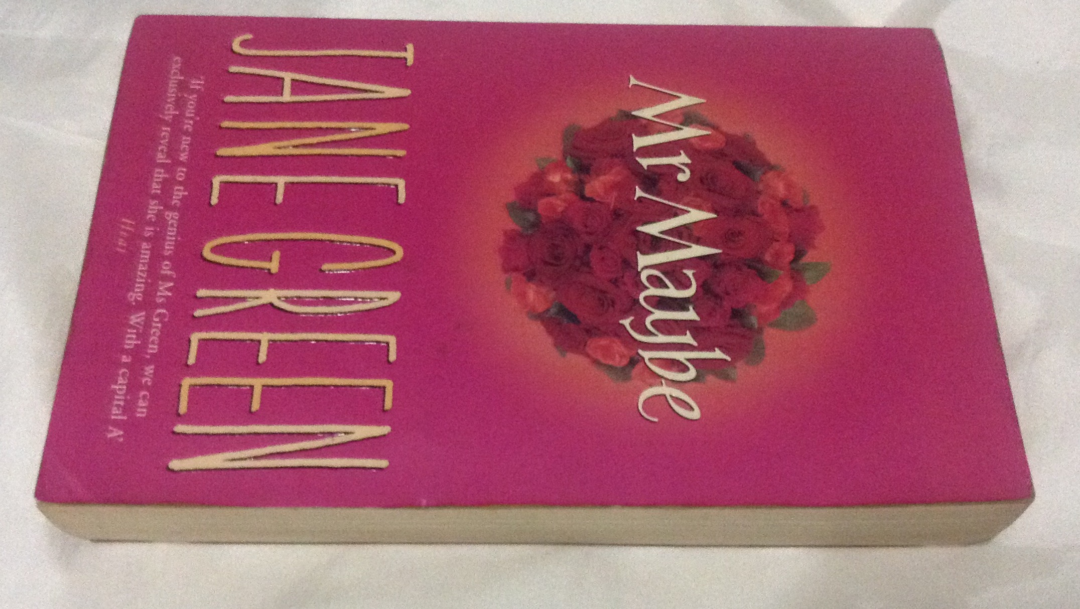 Mr. Maybe by Jane Green ราคา 200