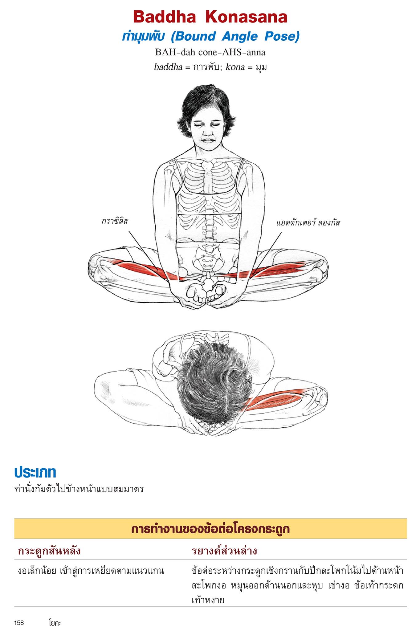 หนังสือเรื่อง กายวิภาคโยคะ YOGA Anatomy (ปกอ่อน) : เลสลี่ คามินอฟฟ์, เอมี่ แมทธิวส์ : สำนักพิมพ์ แอร์โรว์