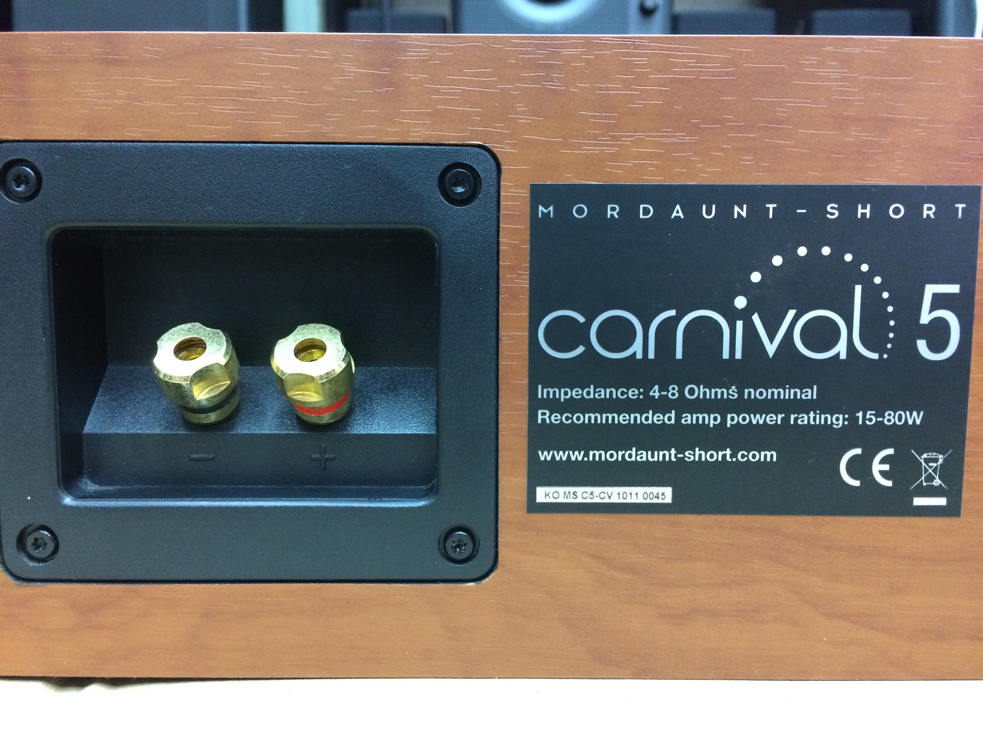 Mordaunt Short Carnival 5 Center Speaker