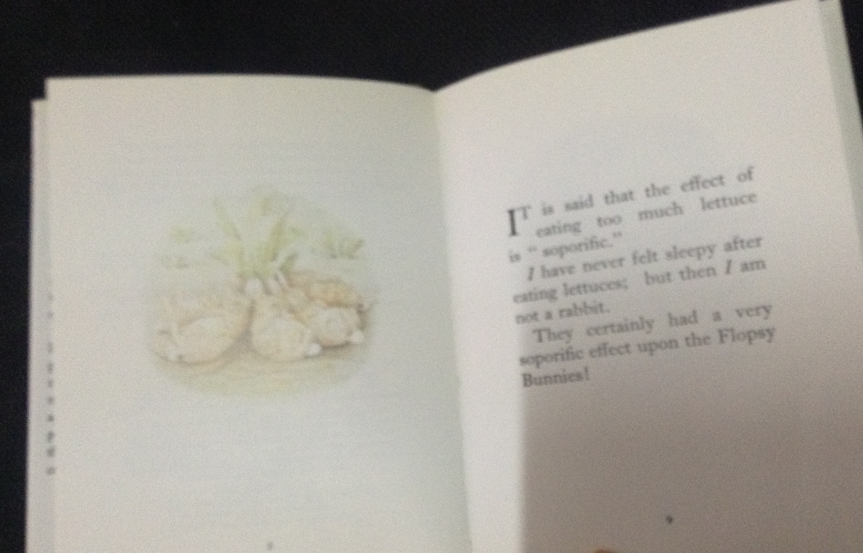 The Tale of the Flopsy Bunnies ราคา 90