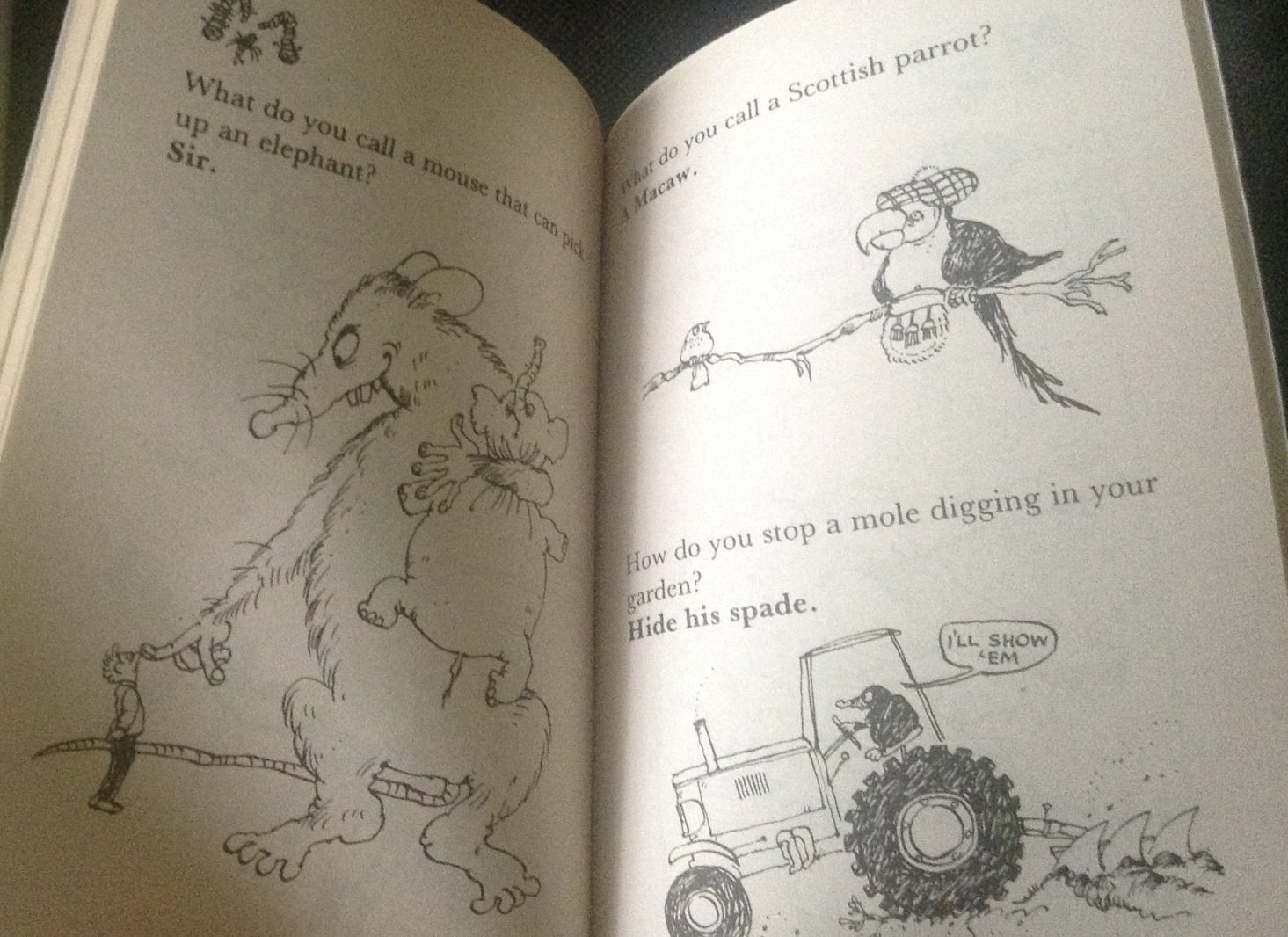 A-Z of Animal Jokes Scoular Anderson ราคา 60