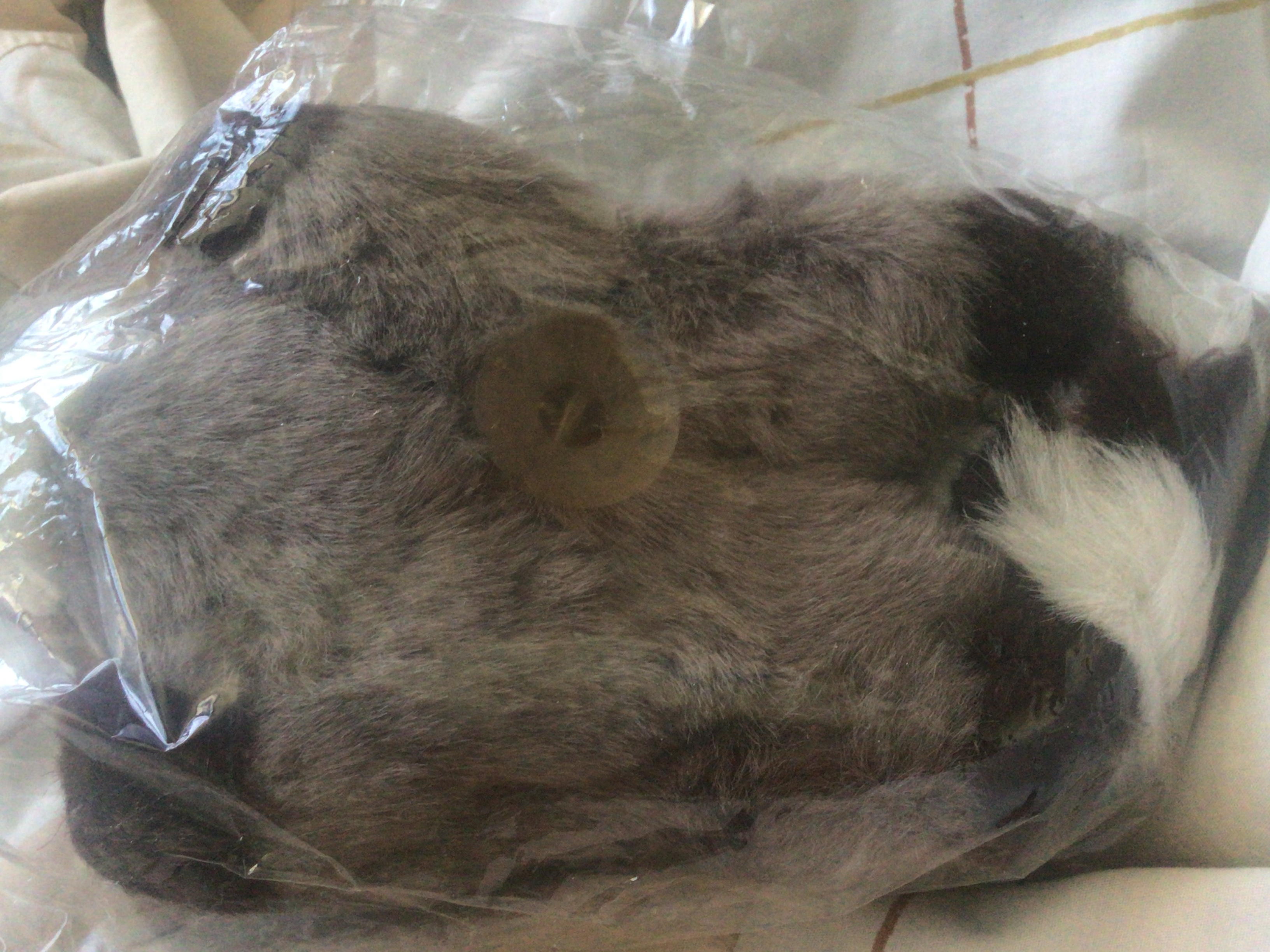 (ของแถม)ตุ๊กตาแขวนแรคคูน