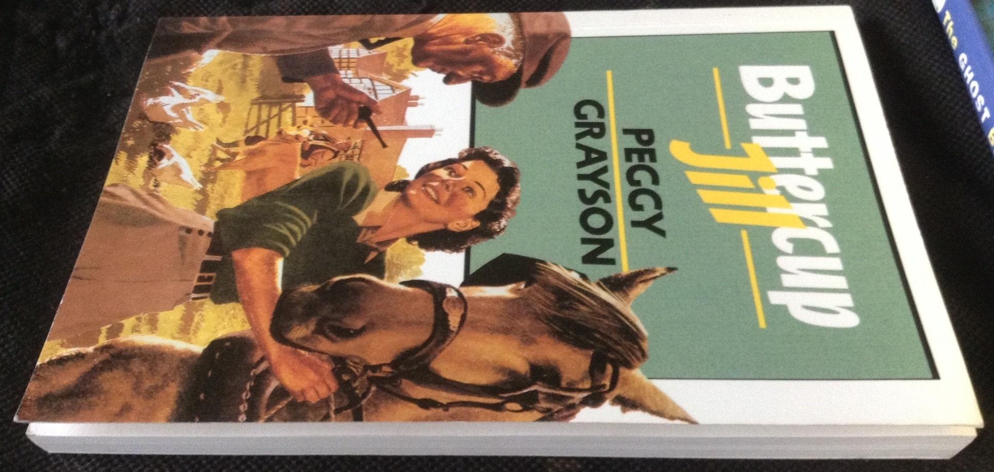 Buttercup Jill by Peggy Grayson ราคา 90