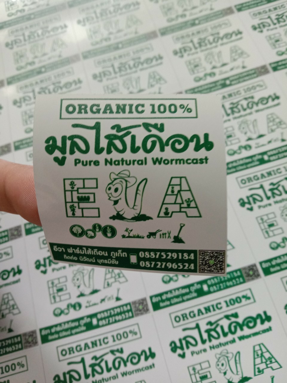 สติ๊กเกอร์ไดคัท