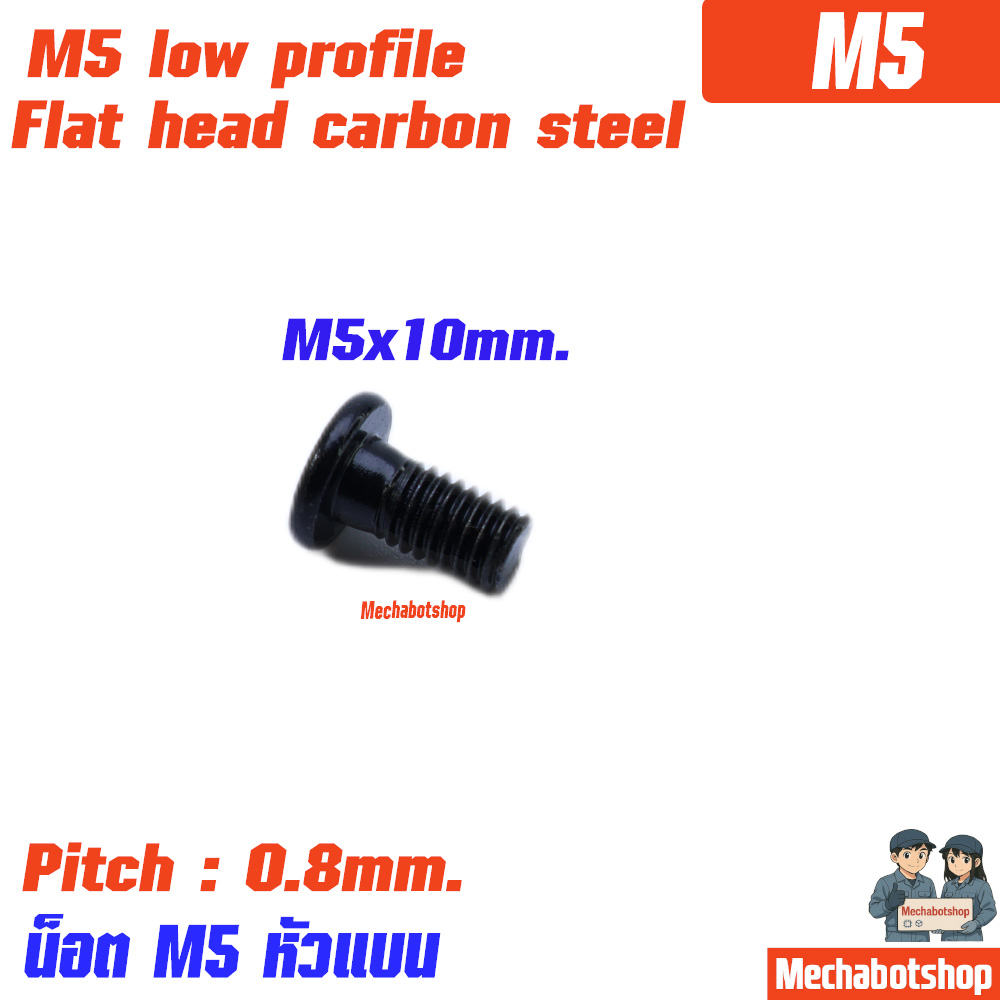 M5x10mm. Low Profile Screws