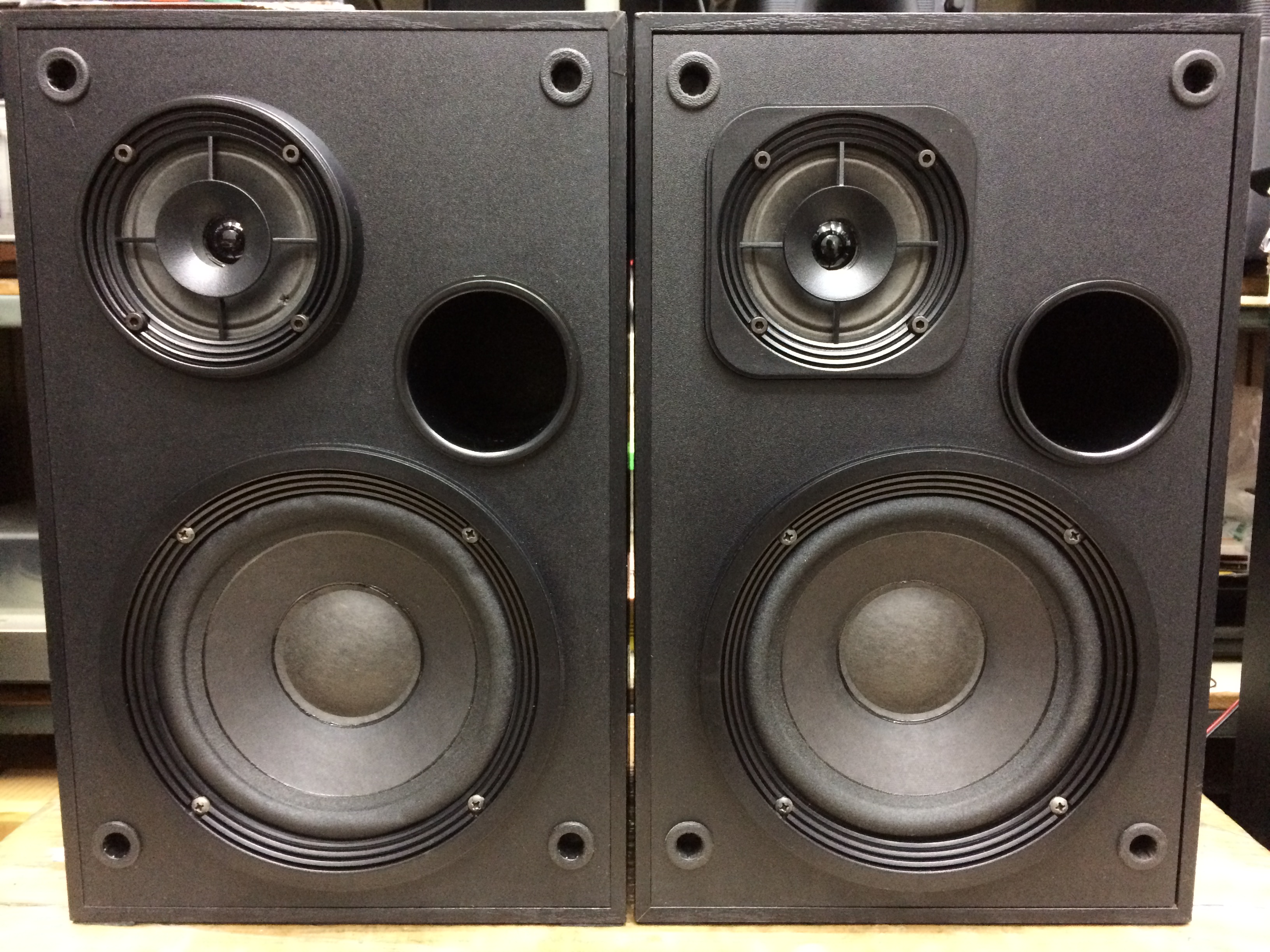 Bose Interaudio 2000