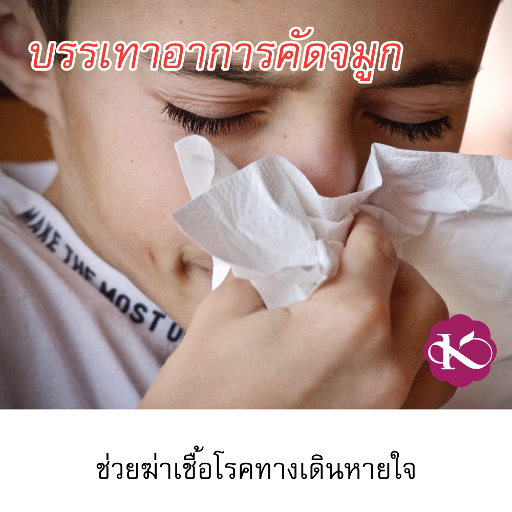 ภูมิแพ้อากาศทำไงดี PM 2.5 น้ำมันหอมระเหยแท้ เกรดบําบัด อโรมาเทอราปี บรรเทา โรคแพ้อากาศ ป้องกัน หวัด ลูกคัดจมูกตอนกลางคืน น้ํามูกไหล จาก พืช ธรรมชาติ 100 % Breathe Cool ชมภิญญ์ 10 ml. ราคา 350