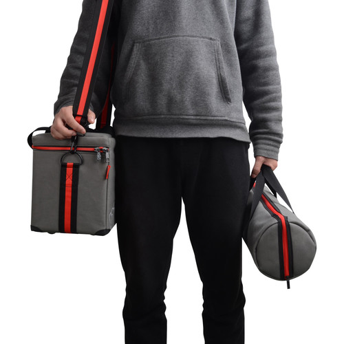 Aputure LS-mini20 Daylight/Bi-Color 3-Light Flight Kit with Stands (DDD)