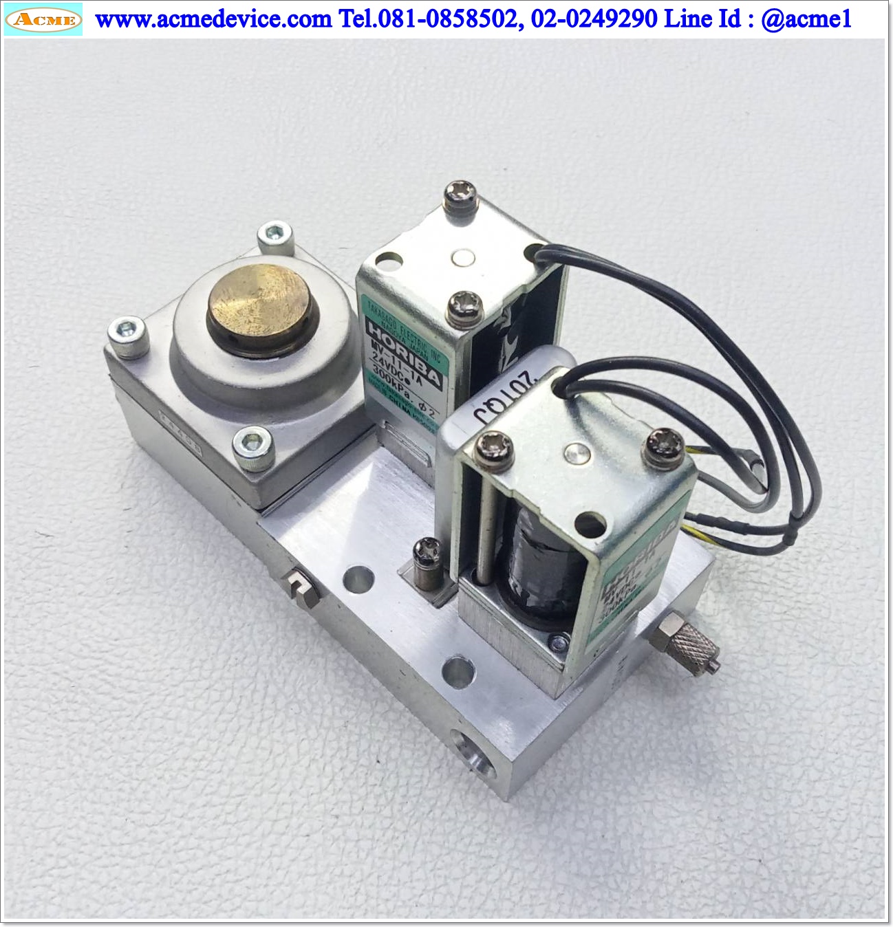 Regulator Horiba รุ่น UA13-M602-AV & MV-11-1A, 24Vdc