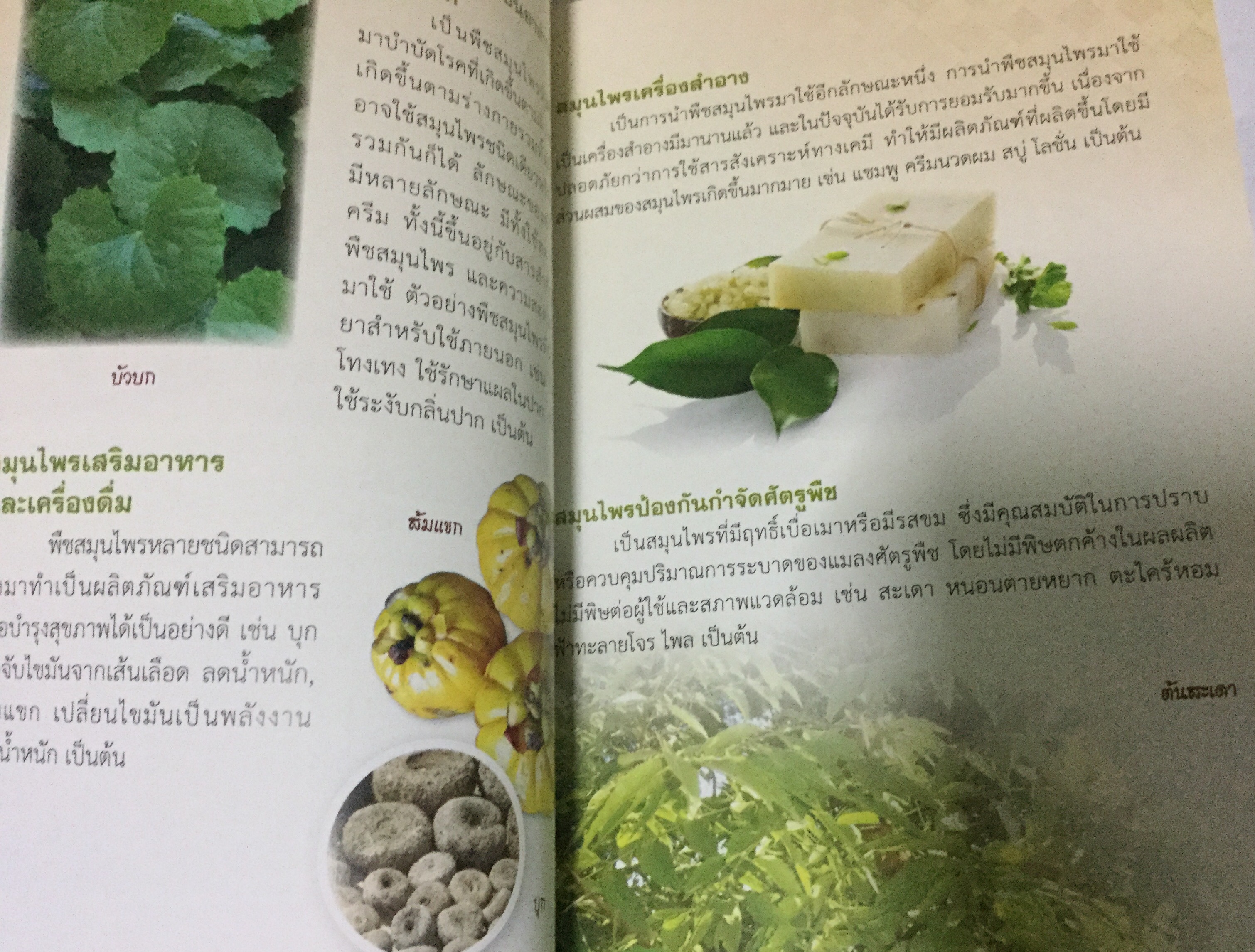 พืชสมุนไพร ภูมิปัญญาไทย ราคา 150