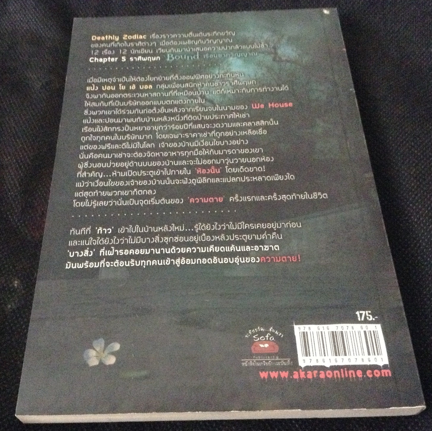 (สั่ง9จ่าย7) Bound เรือนซากวิญญาณ อัณณ์ คณัสนันท์ มือหนึ่ง ราคา 88