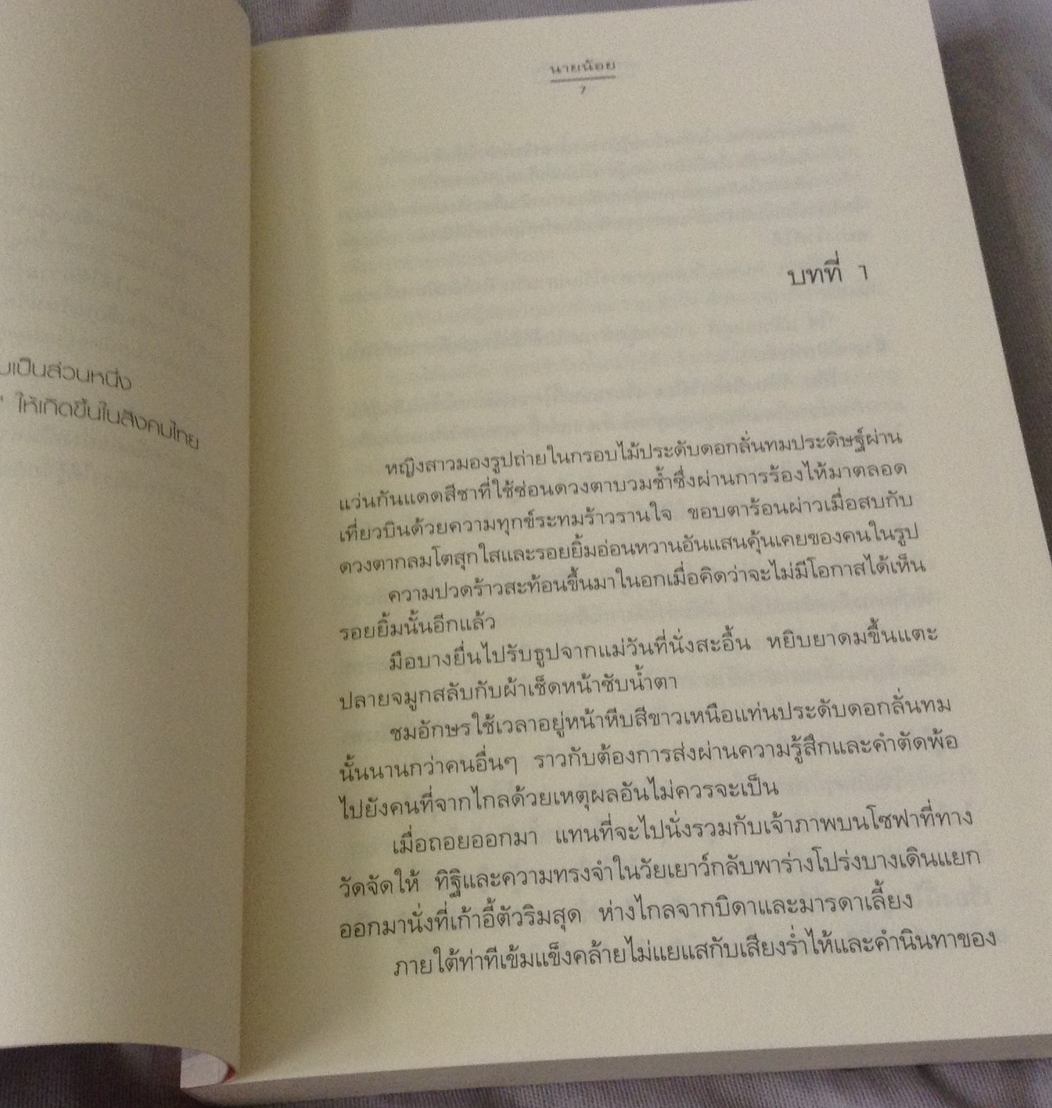 (สั่ง9จ่าย7) เพลิงผลาญใจ นายน้อย ราคา 95