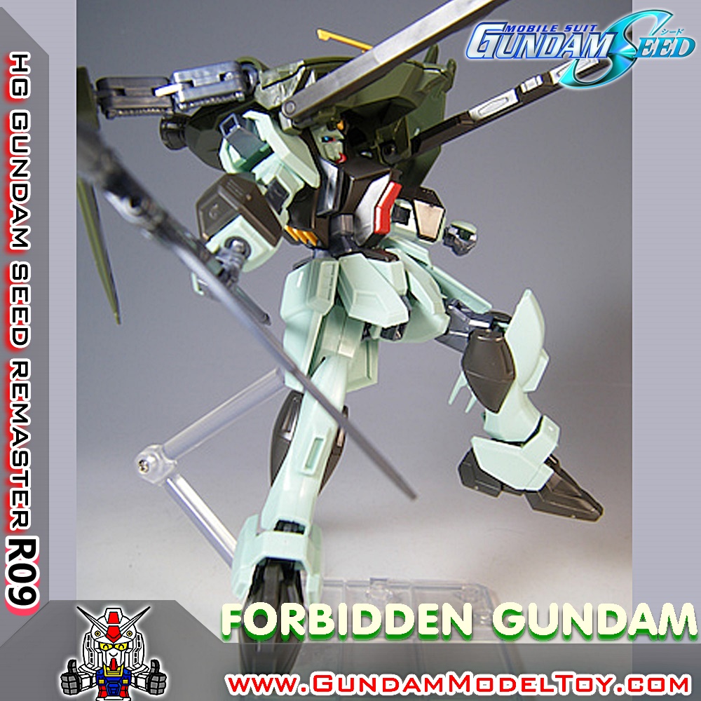 HGSEED 1/144 R09 FORBIDDEN GUNDAM ฟอร์บิดเดน กันดั้ม