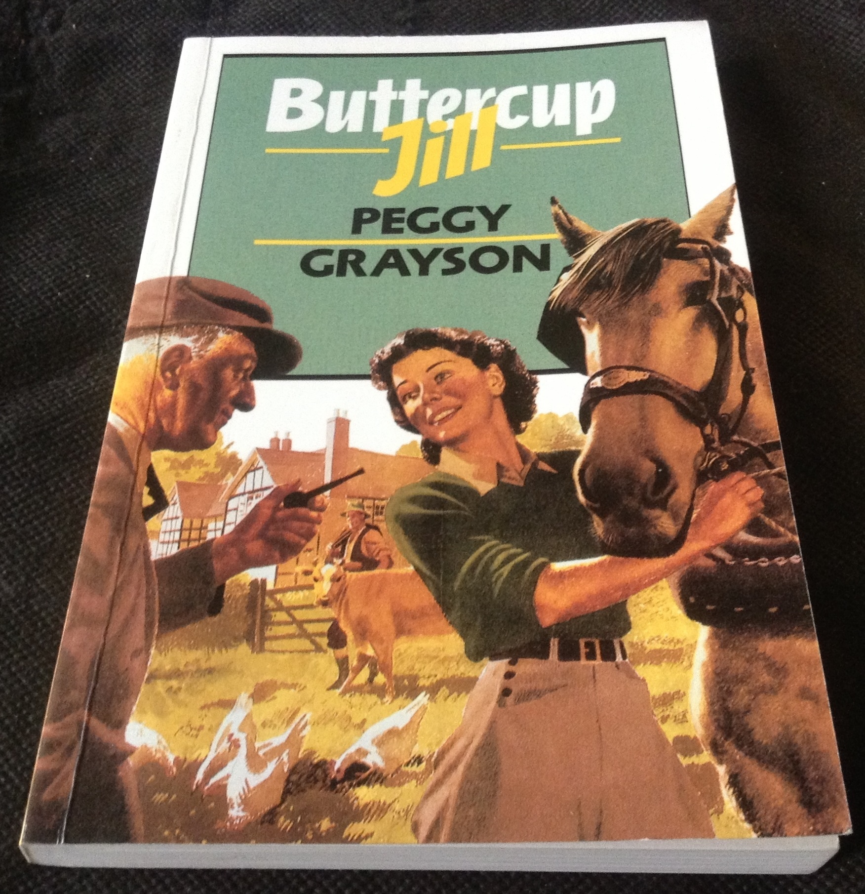 Buttercup Jill by Peggy Grayson ราคา 90