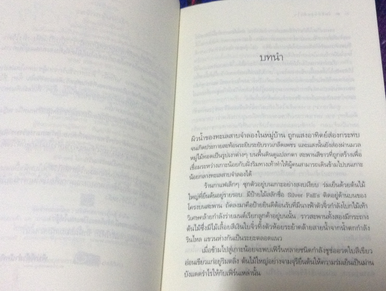 (สั่ง9จ่าย7) รสรักกรุ่นหัวใจ ปรานต์ปัณฑ์ ราคา 75