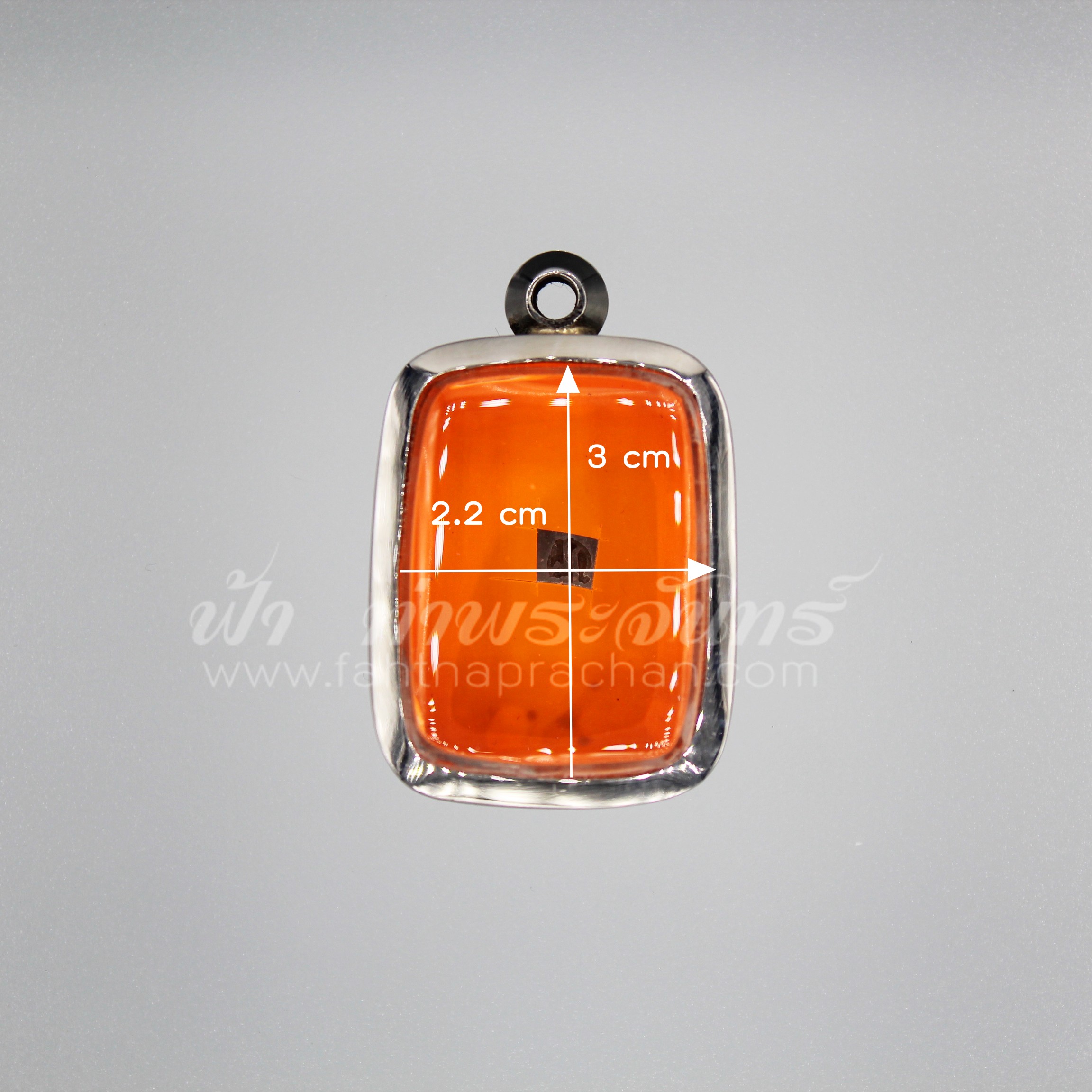 ตลับหลวงพ่อปาน หน้าเดียว สแตนเลสพุก