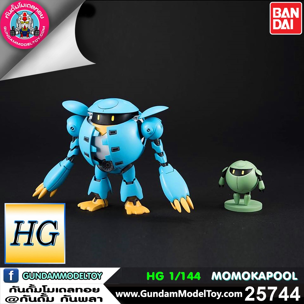 HG MOMOKAPOOL