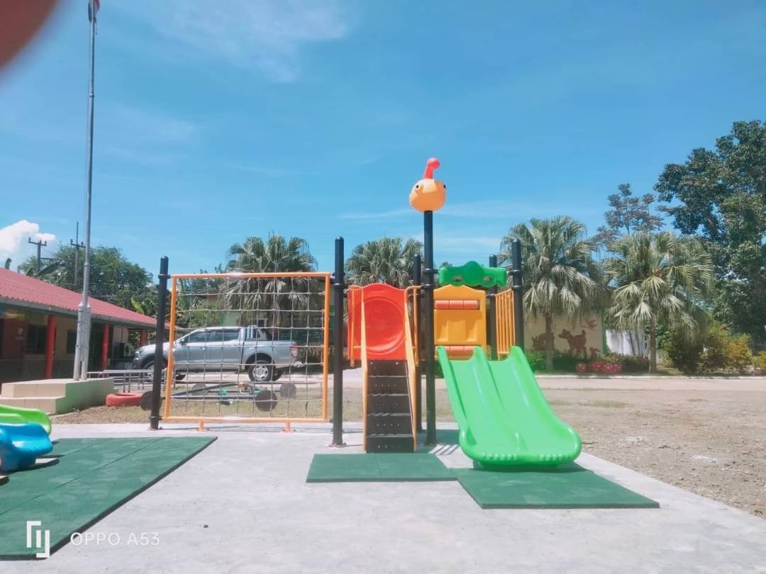 ชุด ปีนป่ายเจ้าปลาน้อย เครื่องเล่นสนามกลางแจ้งและในร่ม