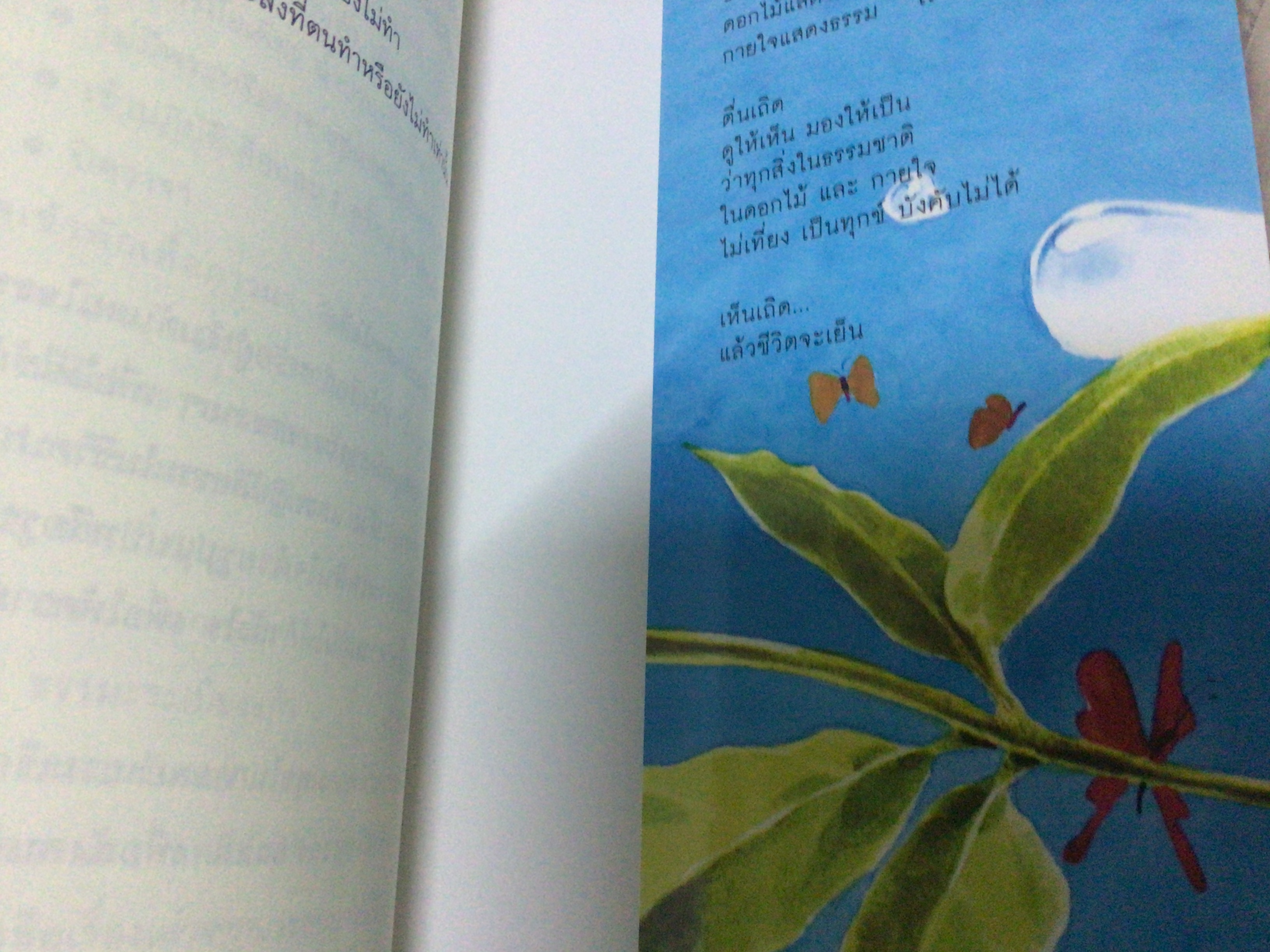 ช้อปปิ้งบุญ ขวัญ เพียงหทัย มือหนึ่ง ราคา 150