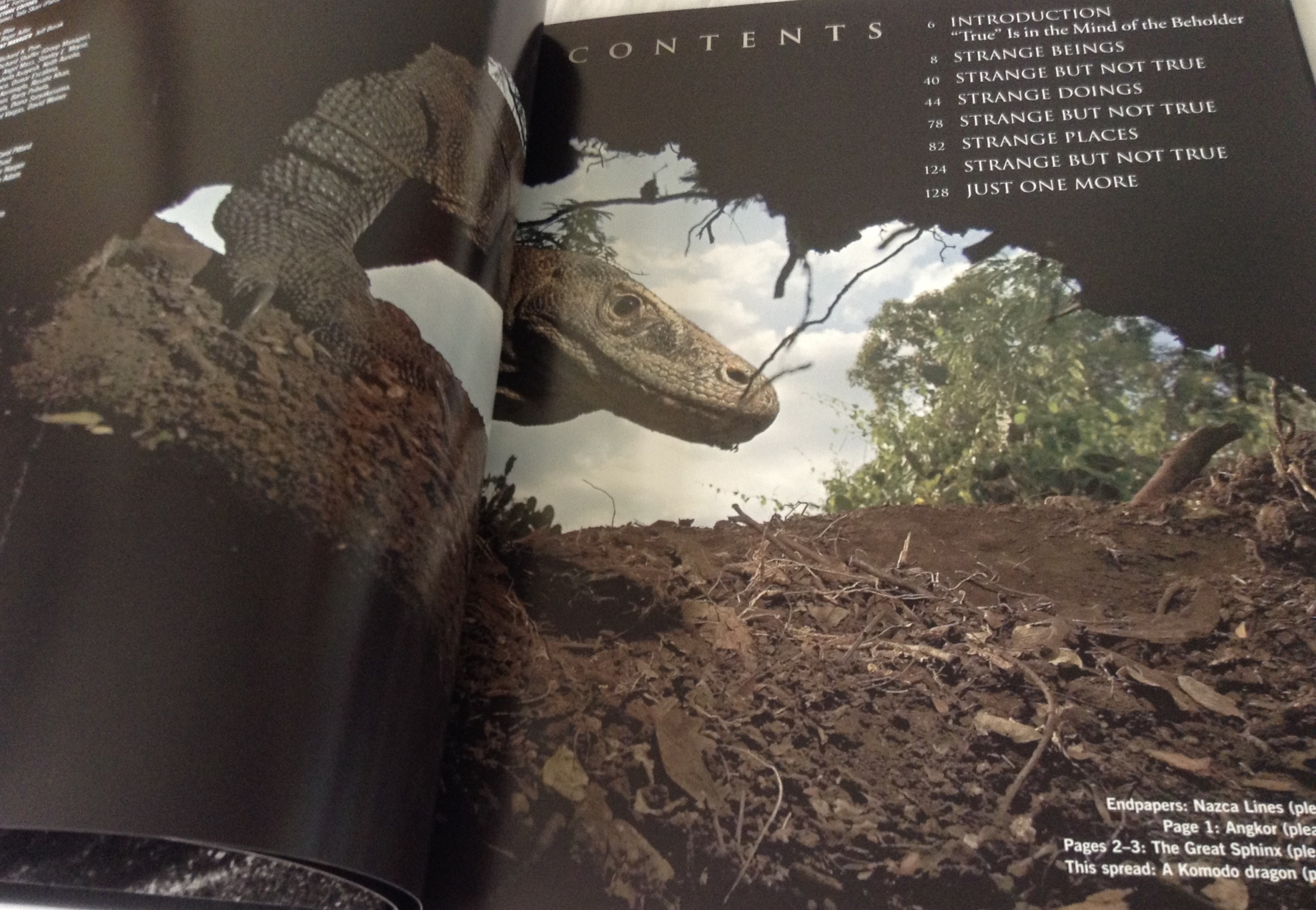 Life: Strange But True: 100 of the World's Weirdest Wonders (Plus: Famous Hoaxes Revealed) ราคา 150