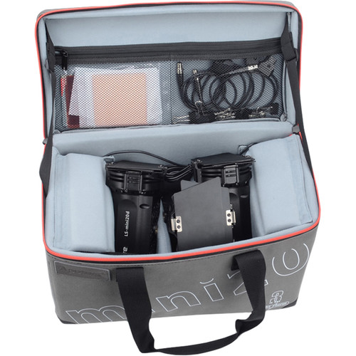 Aputure LS-mini20 Daylight/Bi-Color 3-Light Flight Kit with Stands (DDD)