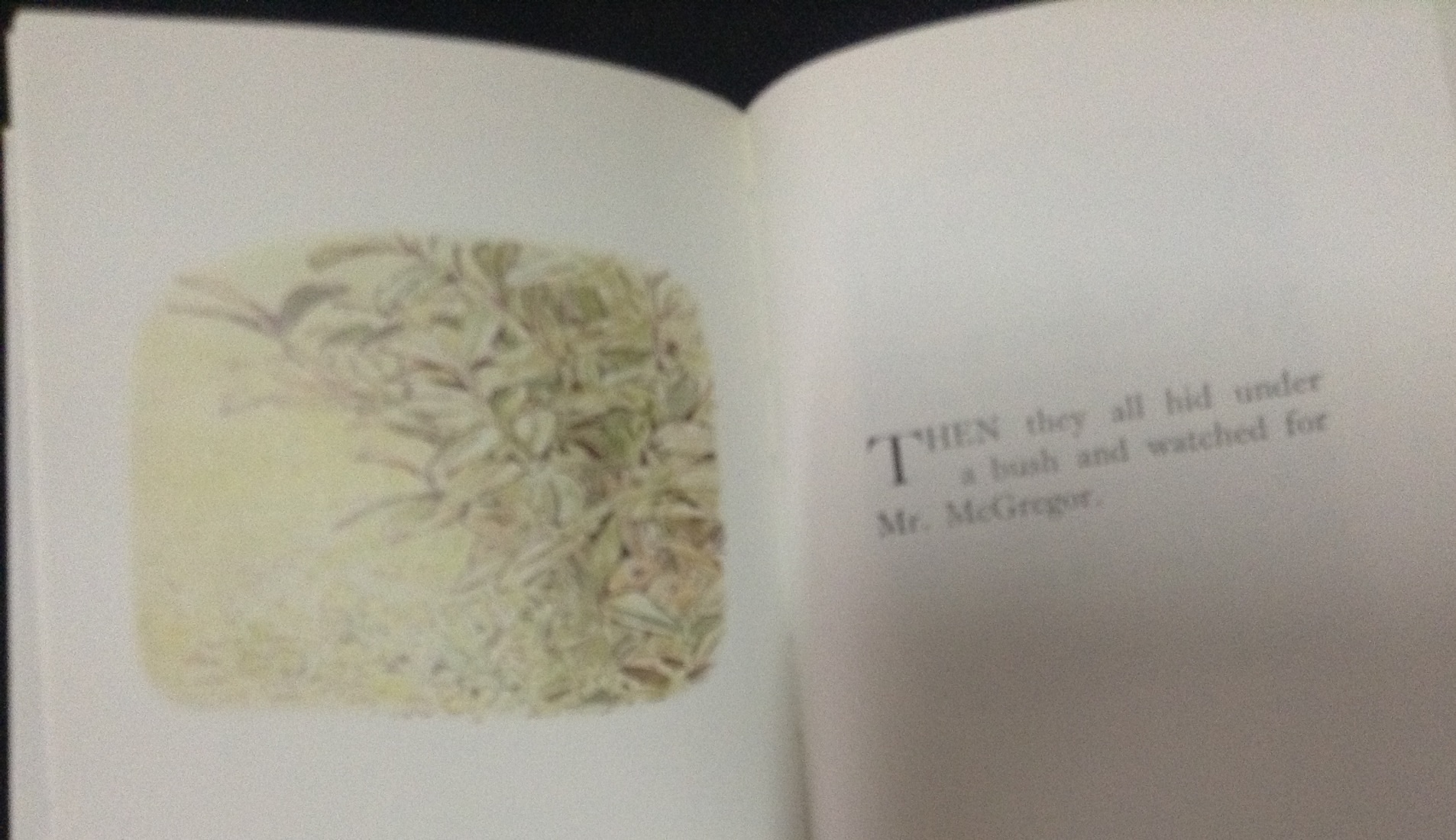 The Tale of the Flopsy Bunnies ราคา 90